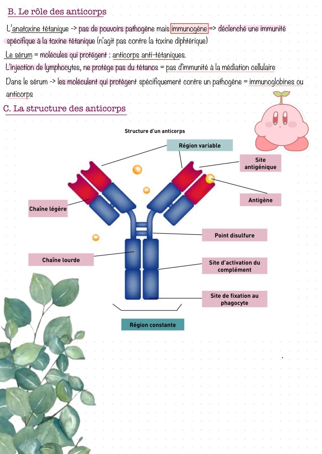 # Réponse immunitaire acquise à médiation humorale
1. Introduction et prérequis
Éviter l'infection est empêché l'entrée de l'agent pathog