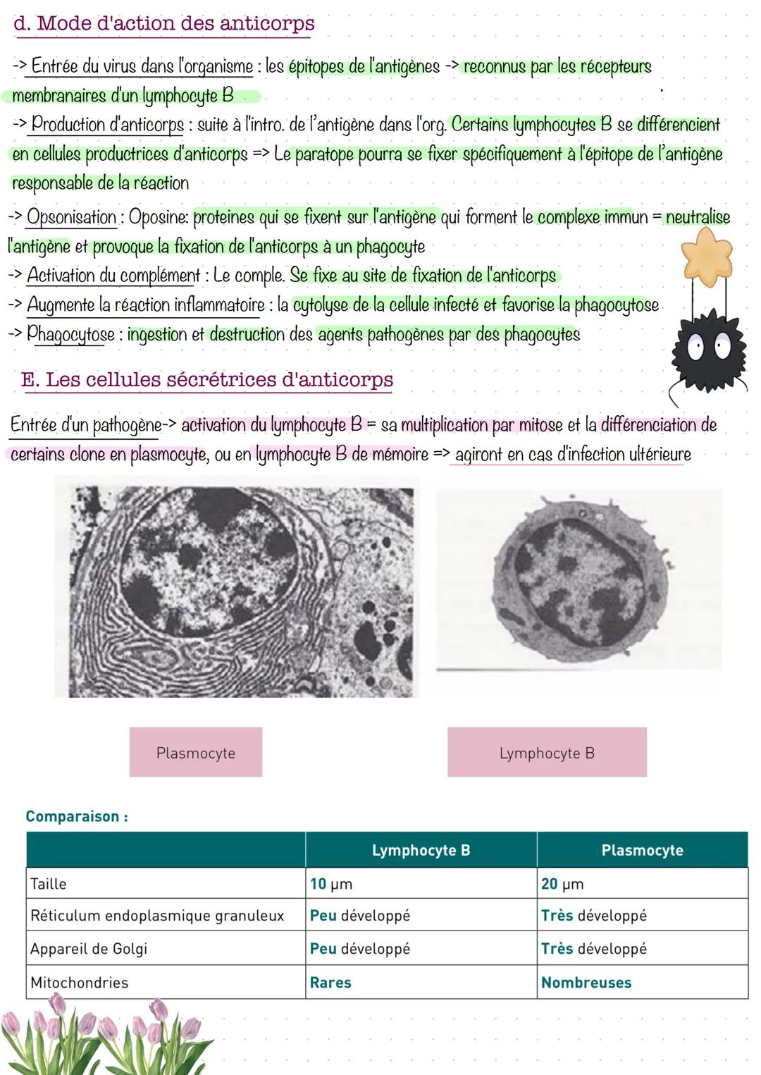 # Réponse immunitaire acquise à médiation humorale
1. Introduction et prérequis
Éviter l'infection est empêché l'entrée de l'agent pathog