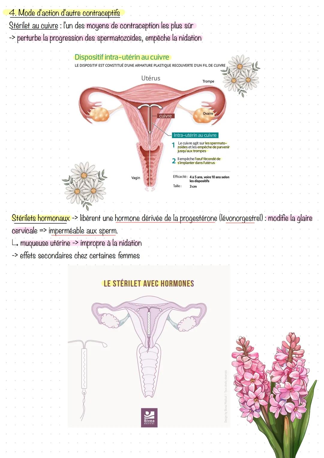 # Partie 1 - la contraception
La régulation du taux d'hormone sexuelles => maitrise de la procréation -> régulation des naissances,
cette