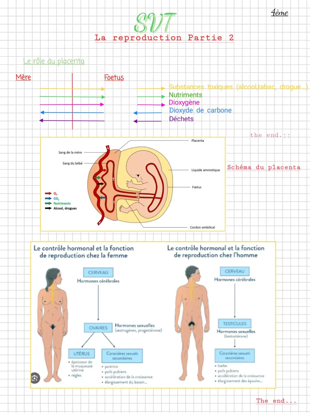 SVT
La reproduction Partie 2
Le rôle du placenta
Mère
Foetus
Sang de la mère
Sang du bébé
co,
Nutriments
Alcool, drogues
4ème
Subst