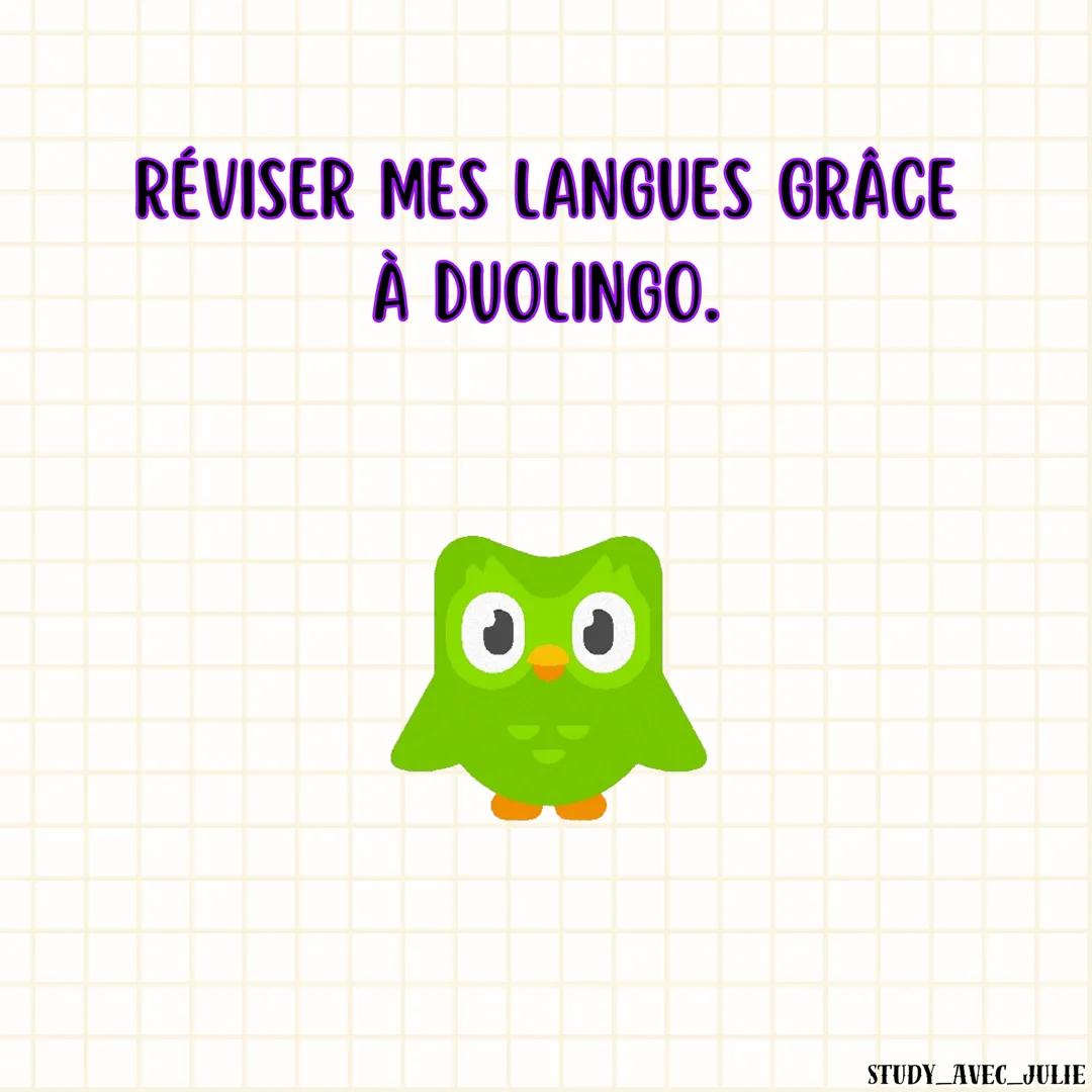 DE 14 À 17 DE
MOYENNE EN
UNE ANNÉE
mes conseils pour réussir toi aussi !
STUDY AVEC JULIE RELIRE CHAQUE COURS DU
JOUR TOUS LES SOIRS.
STUDY