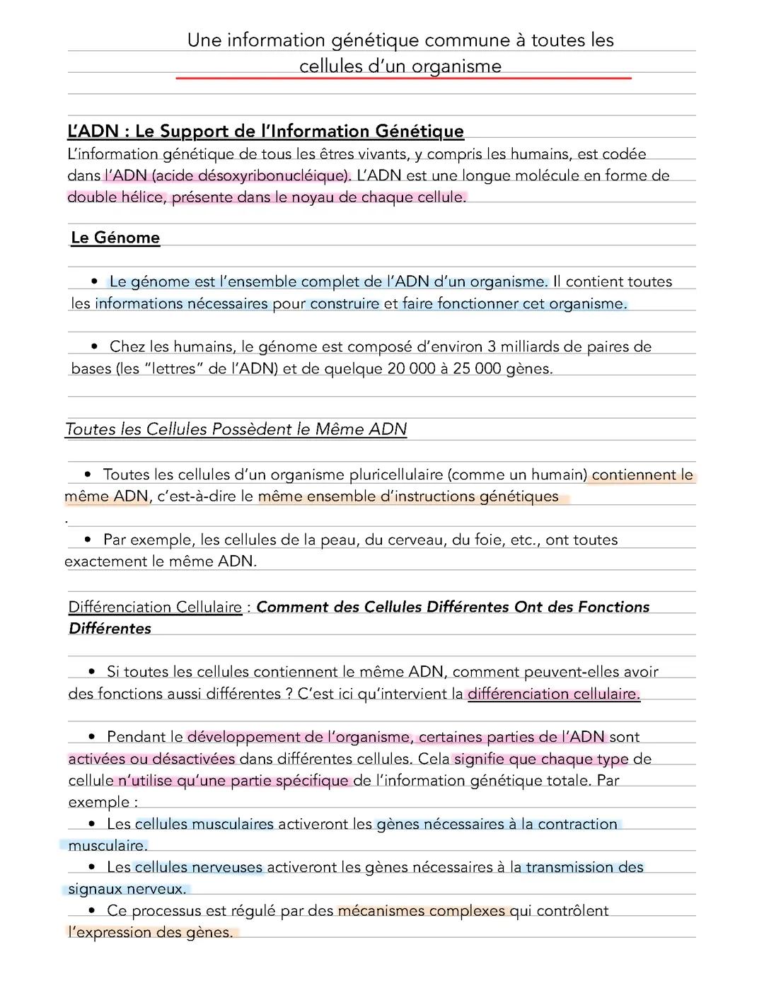 Information génétique ADN