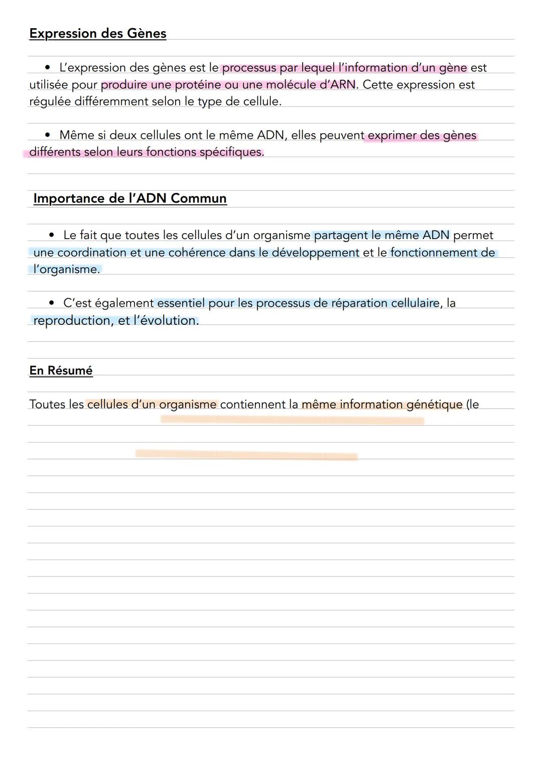 Une information génétique commune à toutes les
cellules d'un organisme
L'ADN : Le Support de l'Information Génétique
L'information génétique