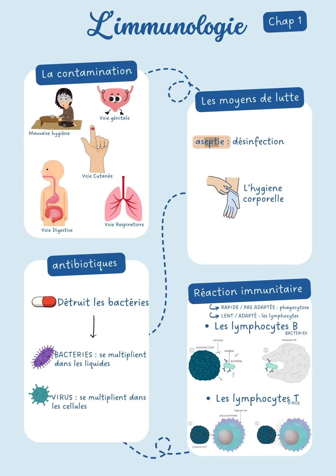 # Limmunologie Chap 1
# La contamination
Les moyens de lutte
Voie génitale
Mauvaise hygiène
aseptie: désinfection
Voie Digestive
Voie
