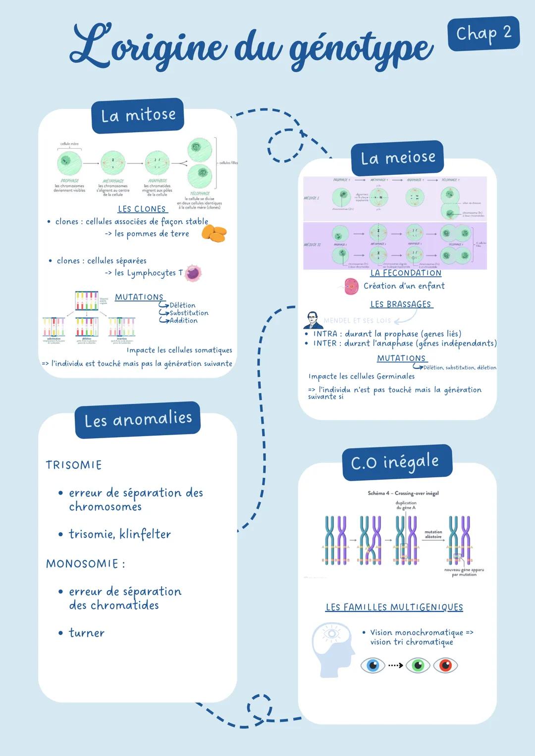 # Limmunologie Chap 1
# La contamination
Les moyens de lutte
Voie génitale
Mauvaise hygiène
aseptie: désinfection
Voie Digestive
Voie