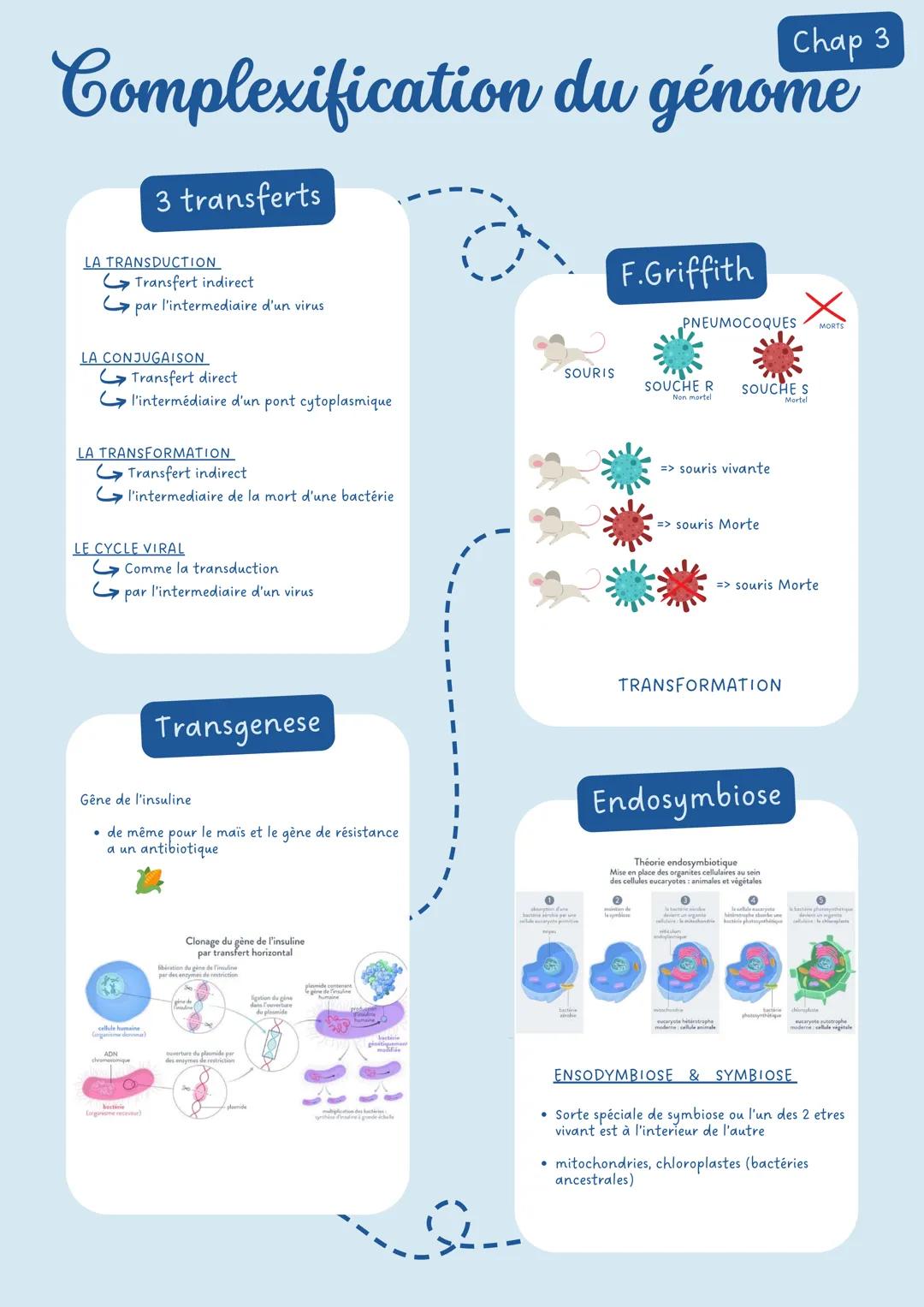 # Limmunologie Chap 1
# La contamination
Les moyens de lutte
Voie génitale
Mauvaise hygiène
aseptie: désinfection
Voie Digestive
Voie