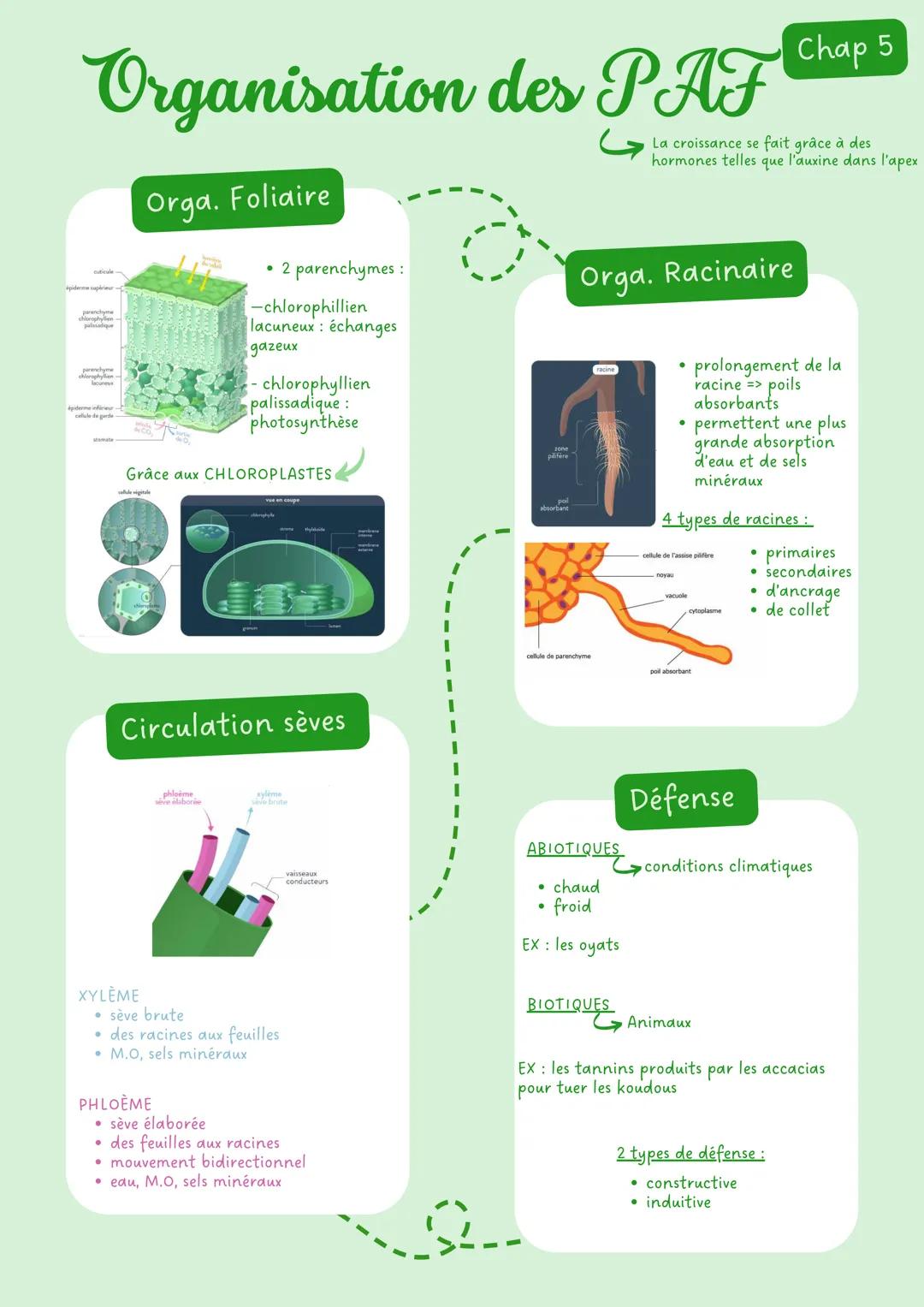 # Limmunologie Chap 1
# La contamination
Les moyens de lutte
Voie génitale
Mauvaise hygiène
aseptie: désinfection
Voie Digestive
Voie