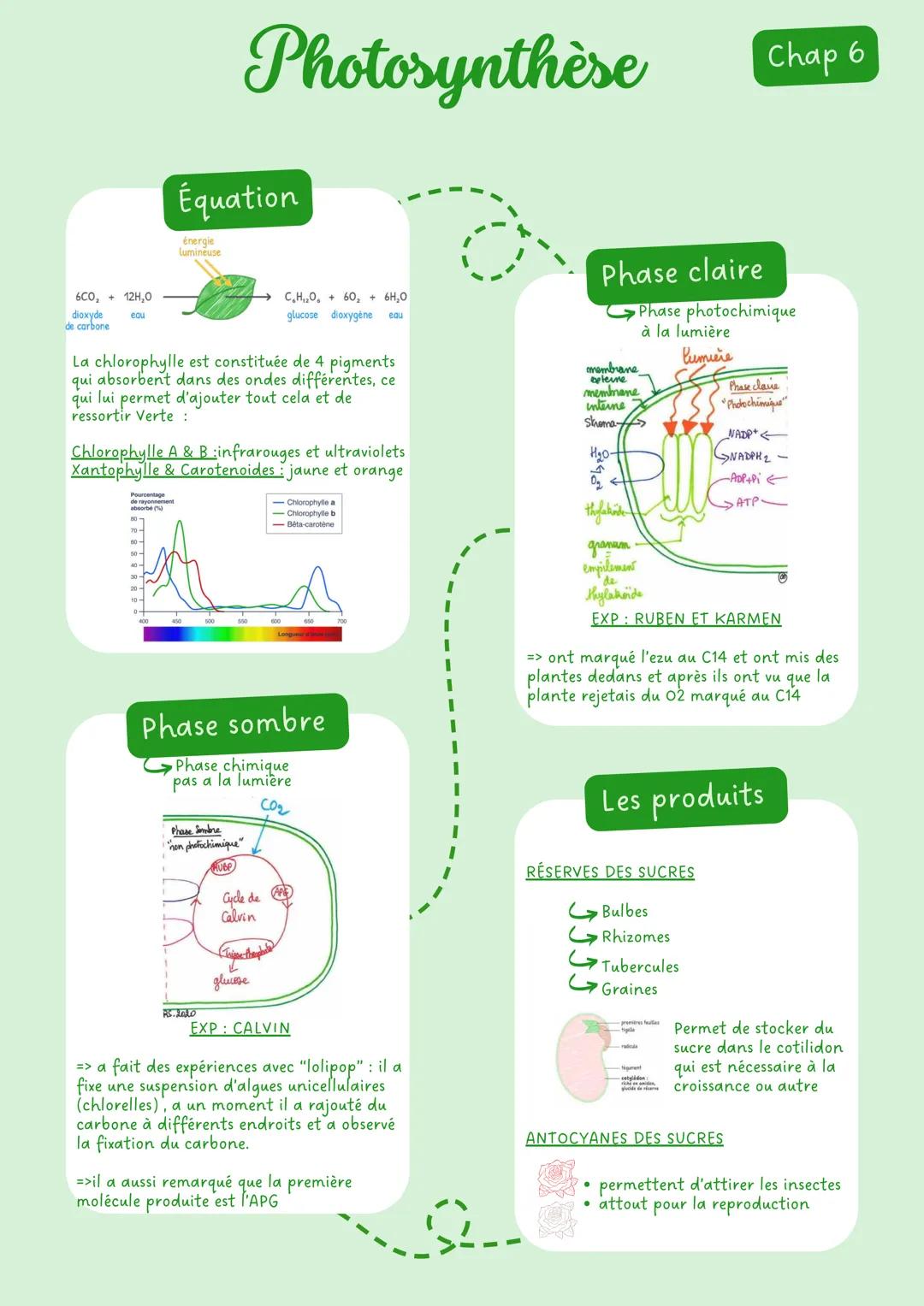 # Limmunologie Chap 1
# La contamination
Les moyens de lutte
Voie génitale
Mauvaise hygiène
aseptie: désinfection
Voie Digestive
Voie