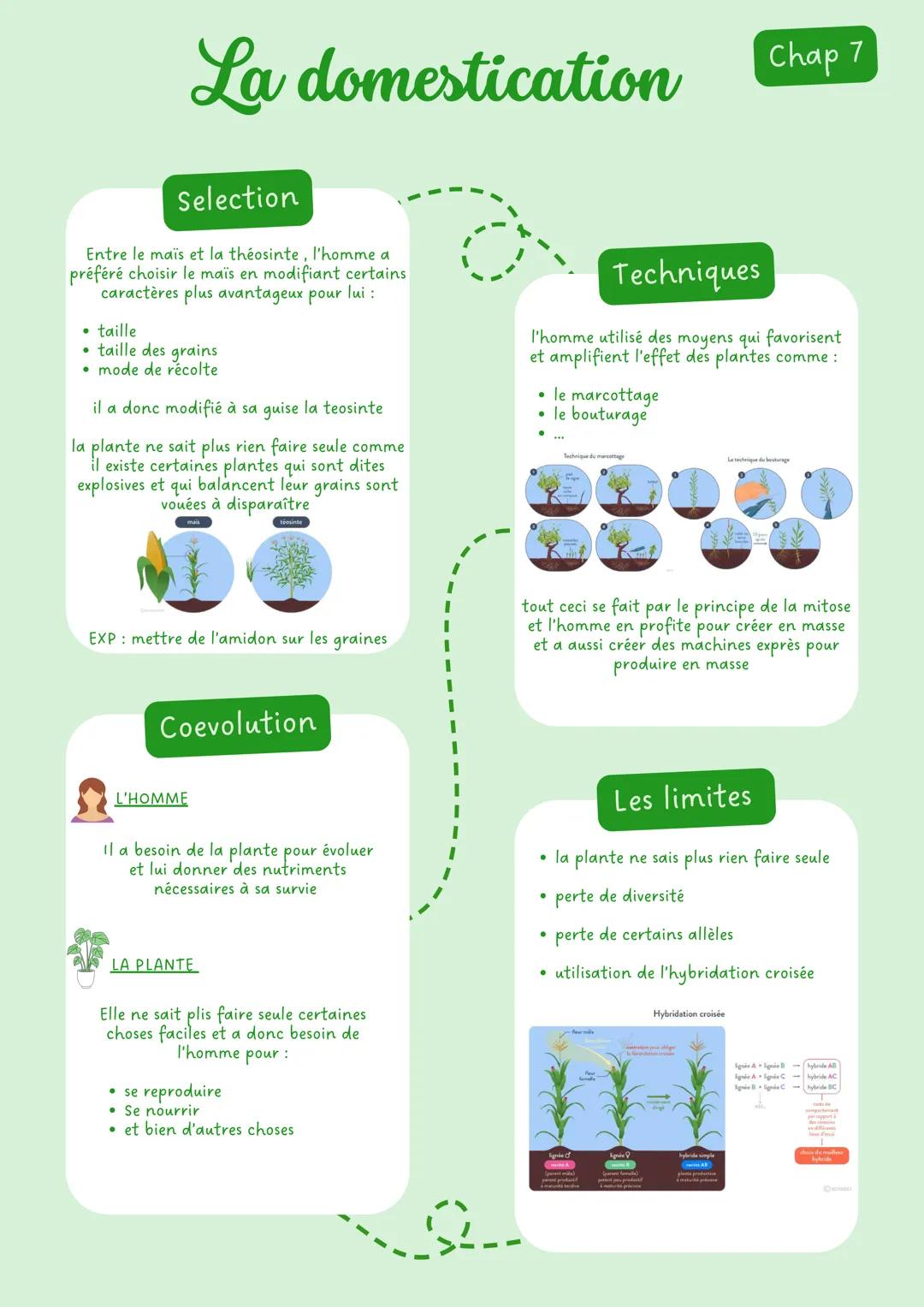 # Limmunologie Chap 1
# La contamination
Les moyens de lutte
Voie génitale
Mauvaise hygiène
aseptie: désinfection
Voie Digestive
Voie