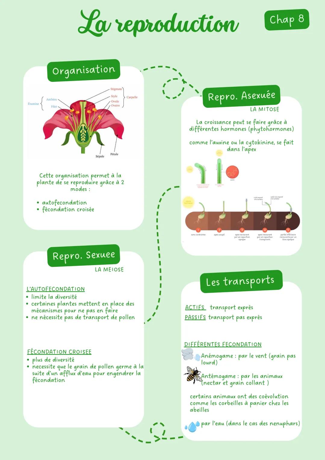# Limmunologie Chap 1
# La contamination
Les moyens de lutte
Voie génitale
Mauvaise hygiène
aseptie: désinfection
Voie Digestive
Voie