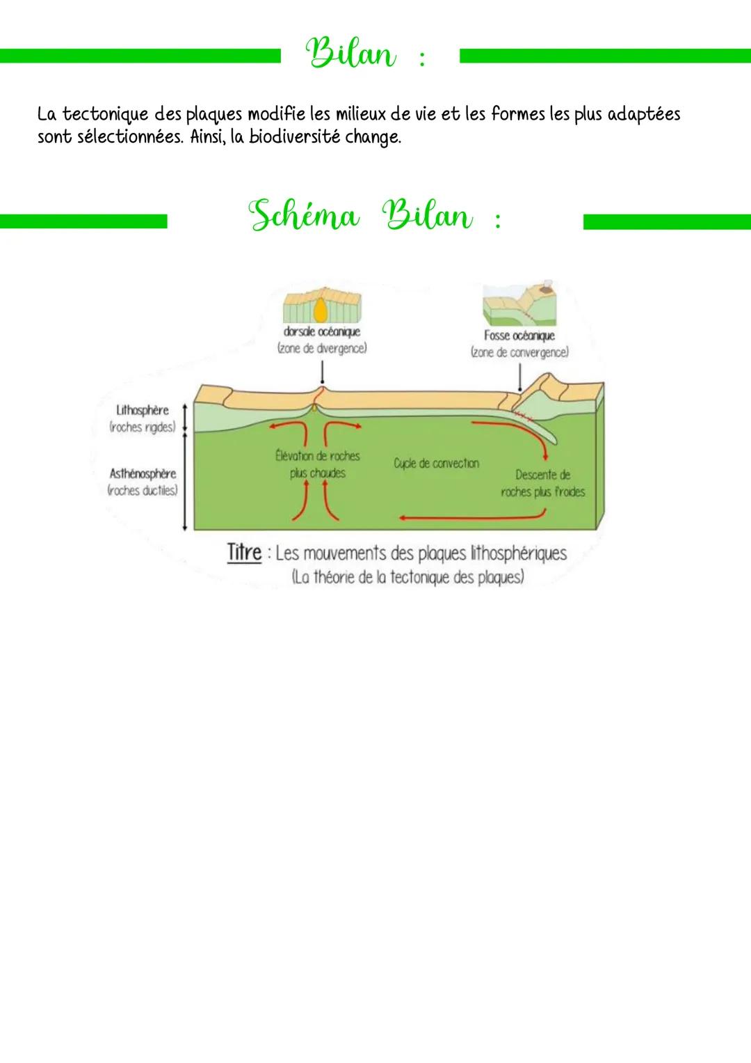 Sciences
La tectonique des plaques
Problématique
Comment fonctionnent la tectonique des plaques?
Bilan :
La dérive des continents est une th
