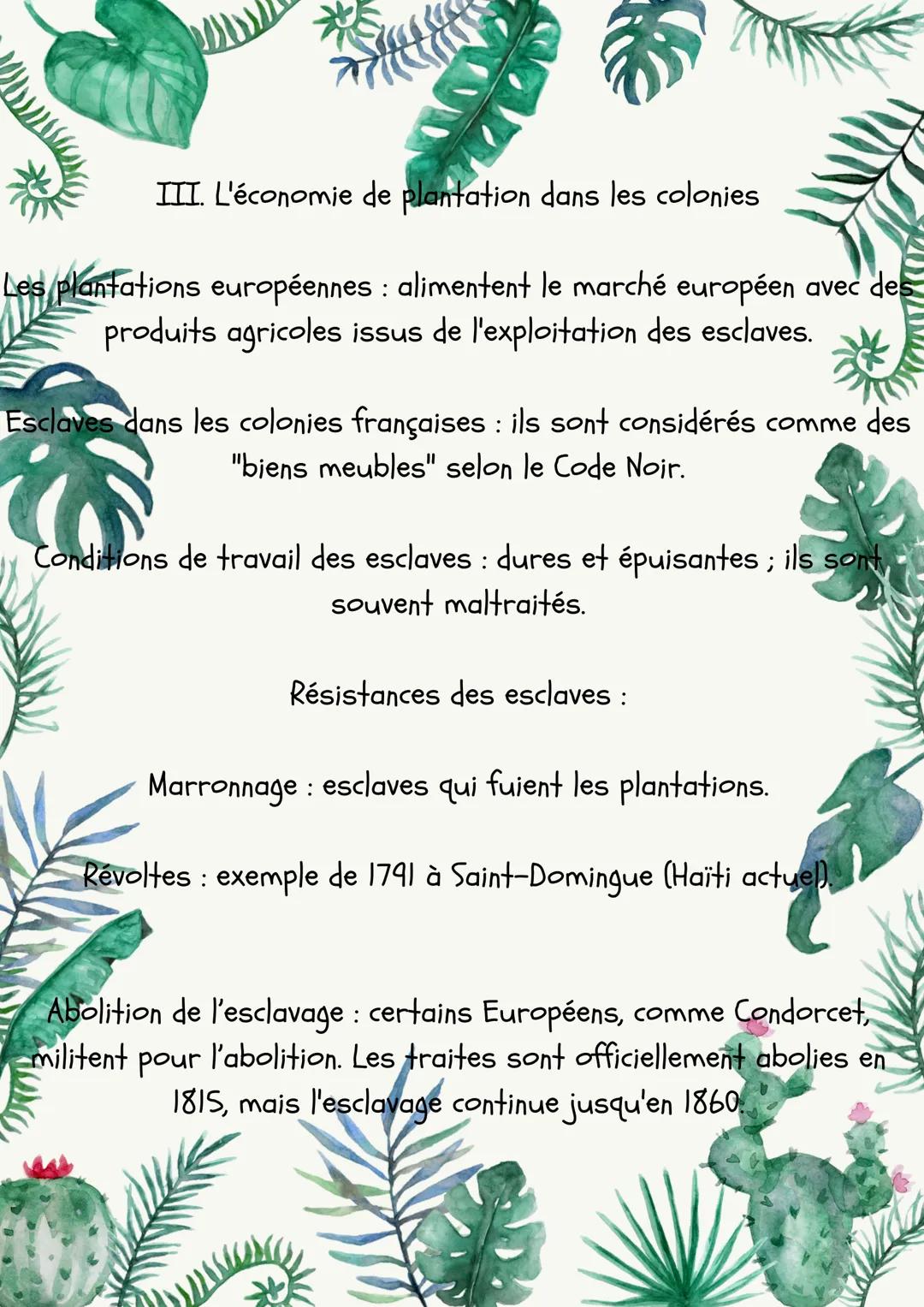 L'expansion européenne et les bourgeoisies marchandes
Depuis le XVe siècle, l'Europe poursuit la colonisation de
nouveaux territoires sur de