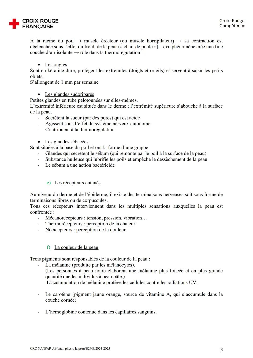 # CROIX-ROUGE
FRANÇAISE
# LA PEAU ET LES MUQUEUSES
Croix-Rouge
Compétence
La peau recouvre entièrement notre corps et se compose de 3 cou