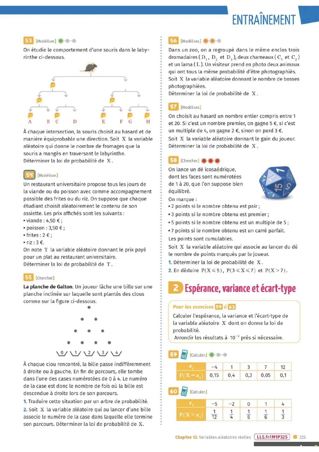 ENTRAÎNEMENT
Exercices FLASH
[DIFFERENCIATION
33 On lance simultanément deux pièces. Le joueur
gagne 2 € pour chaque pile obtenue et il perd