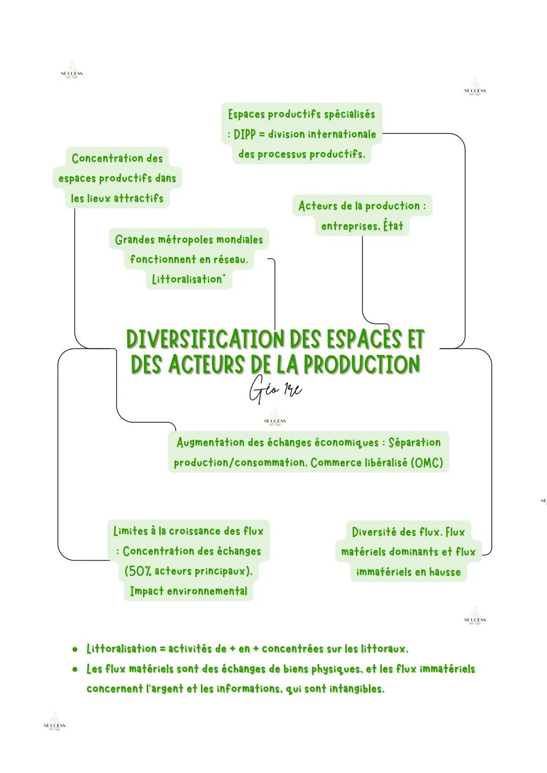 SUCCESS
Concentration des
espaces productifs dans
les lieux attractifs
Espaces productifs spécialisés
: DIPP = division internationale
des p