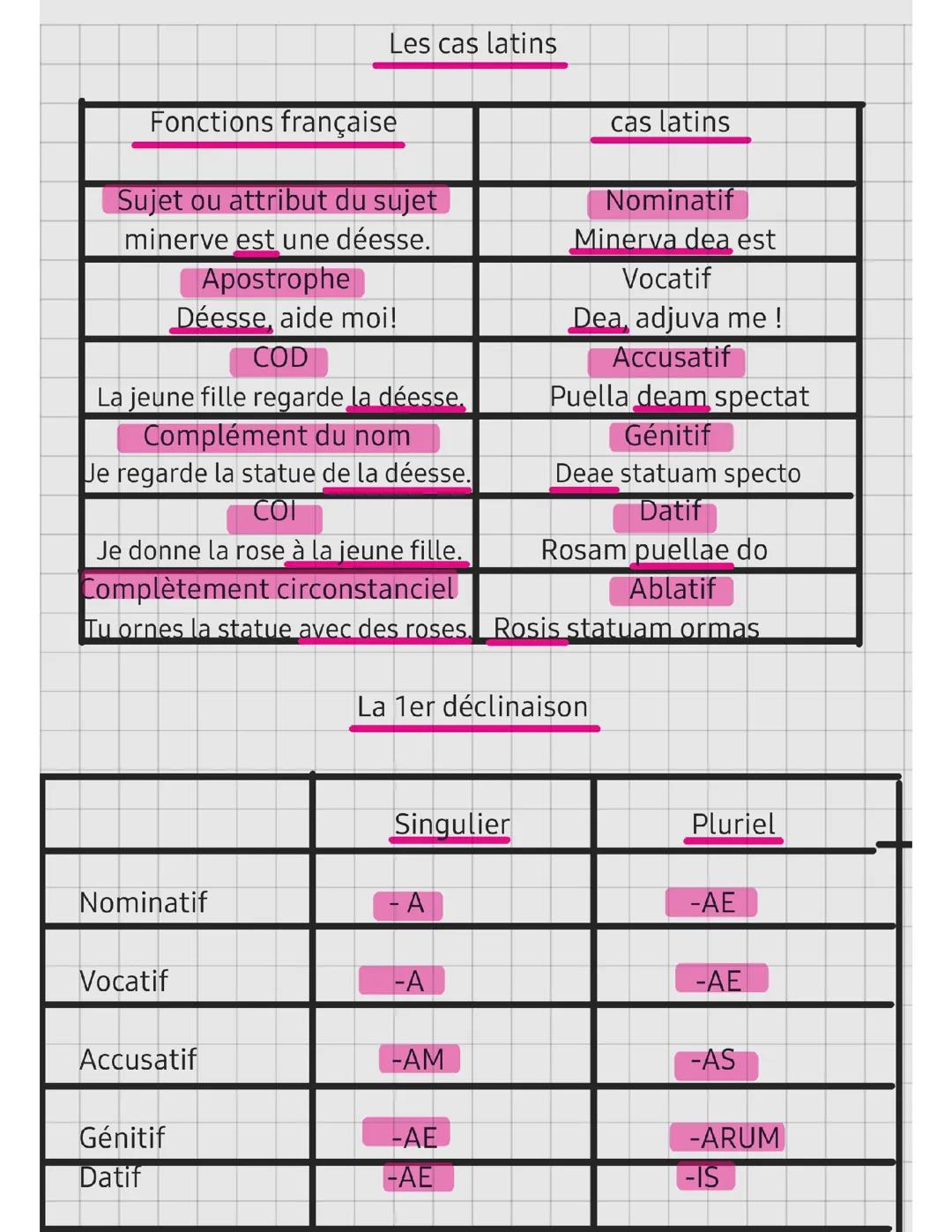 1er déclinaison et cas latin