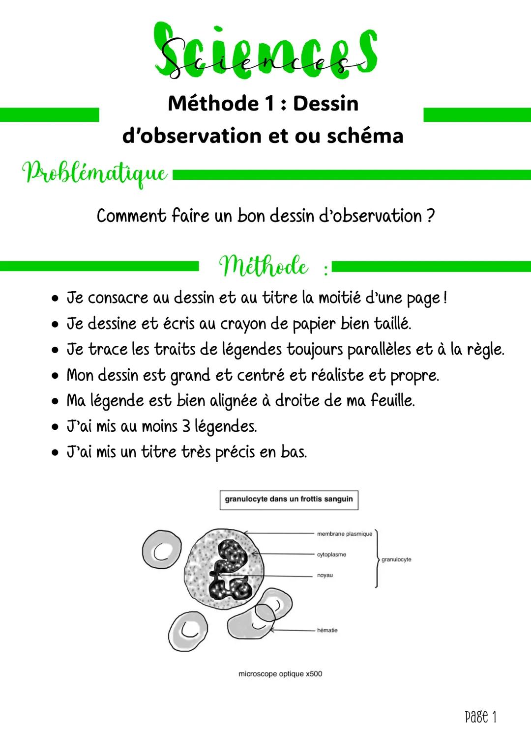 # Sciences
Méthode 1: Dessin
d'observation et ou schéma
# Problématique
Comment faire un bon dessin d'observation?
# Méthode:
* Je co