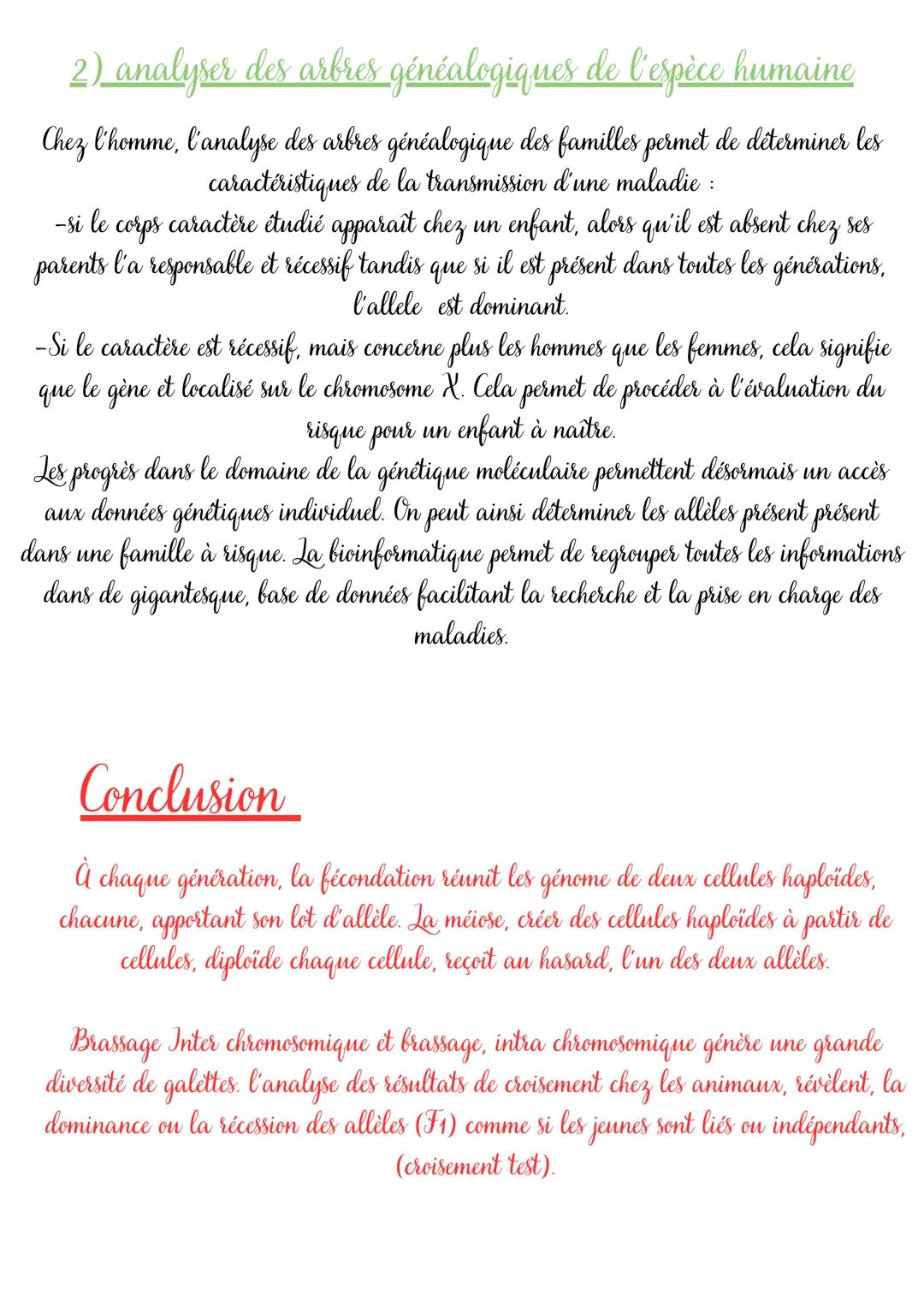 Chap 2: un
brassage des génomes assuré par la reproduction sexuée
Interphase
Les étapes de la méiose
XX
Prophase I
Metaphase I
Anaphase I
Te