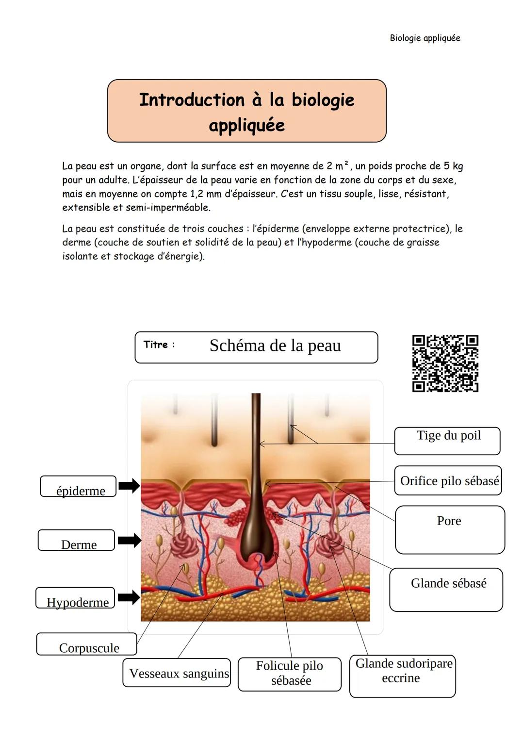 Biologie appliquée
# Introduction à la biologie appliquée
La peau est un organe, dont la surface est en moyenne de 2 m², un poids proche d