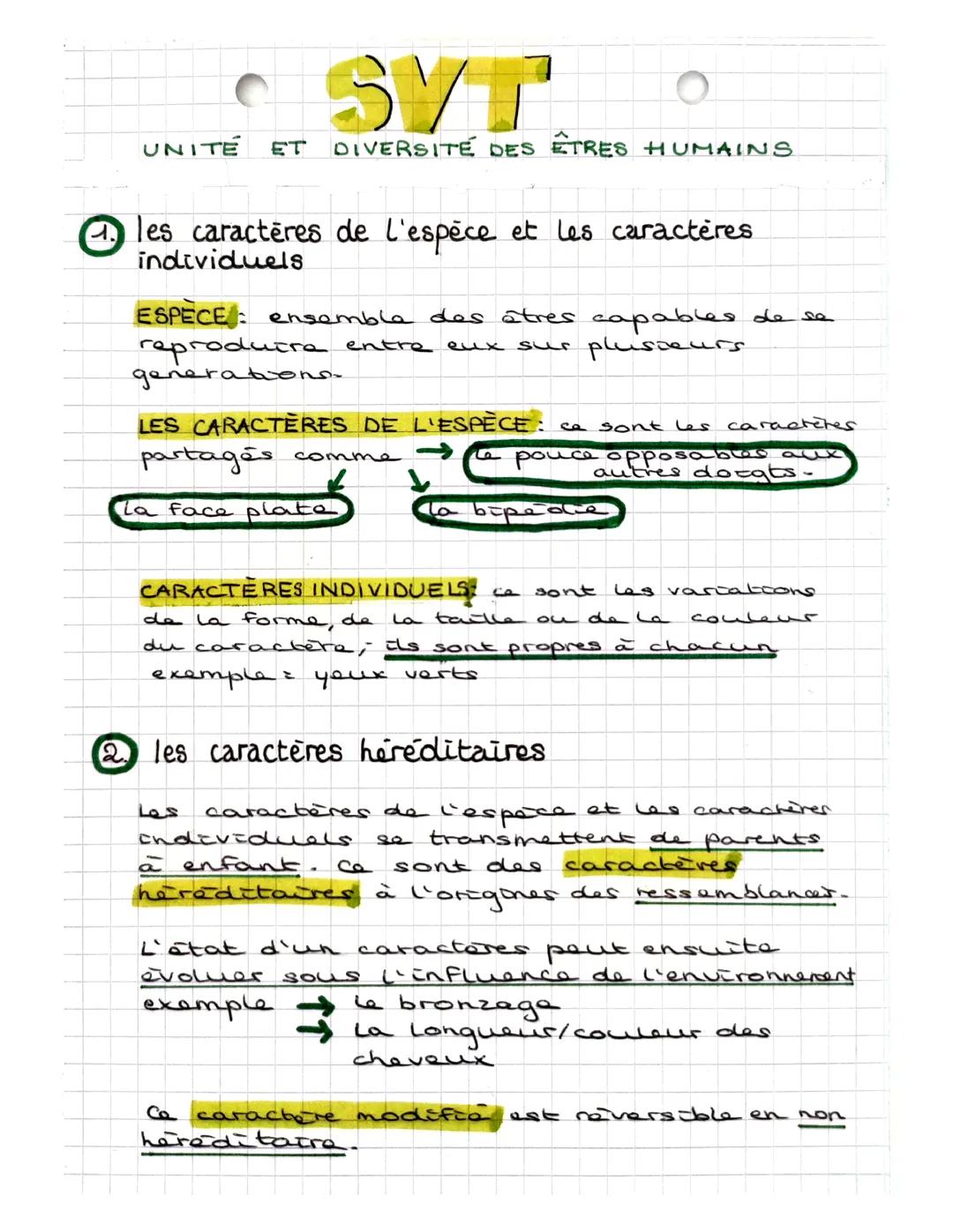 Unité et diversité des êtres humains