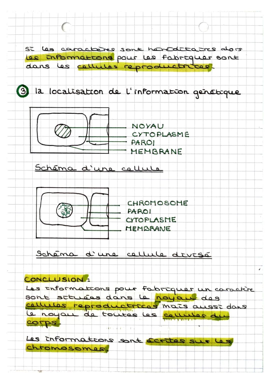 • SVT
O
UNITE ET DIVERSITÉ DES ÊTRES HUMAINS
④ les caractères de l'espèce et les caractères
individuels
ESPECE: ensemble des êtres capables