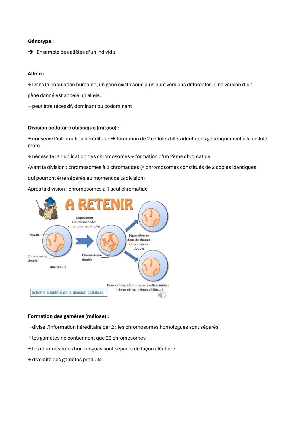 Fiche de révision de la partie génétique
Caractères environnementaux → modifiés par notre milieu, nos habitudes, notre éducation, etc...
C