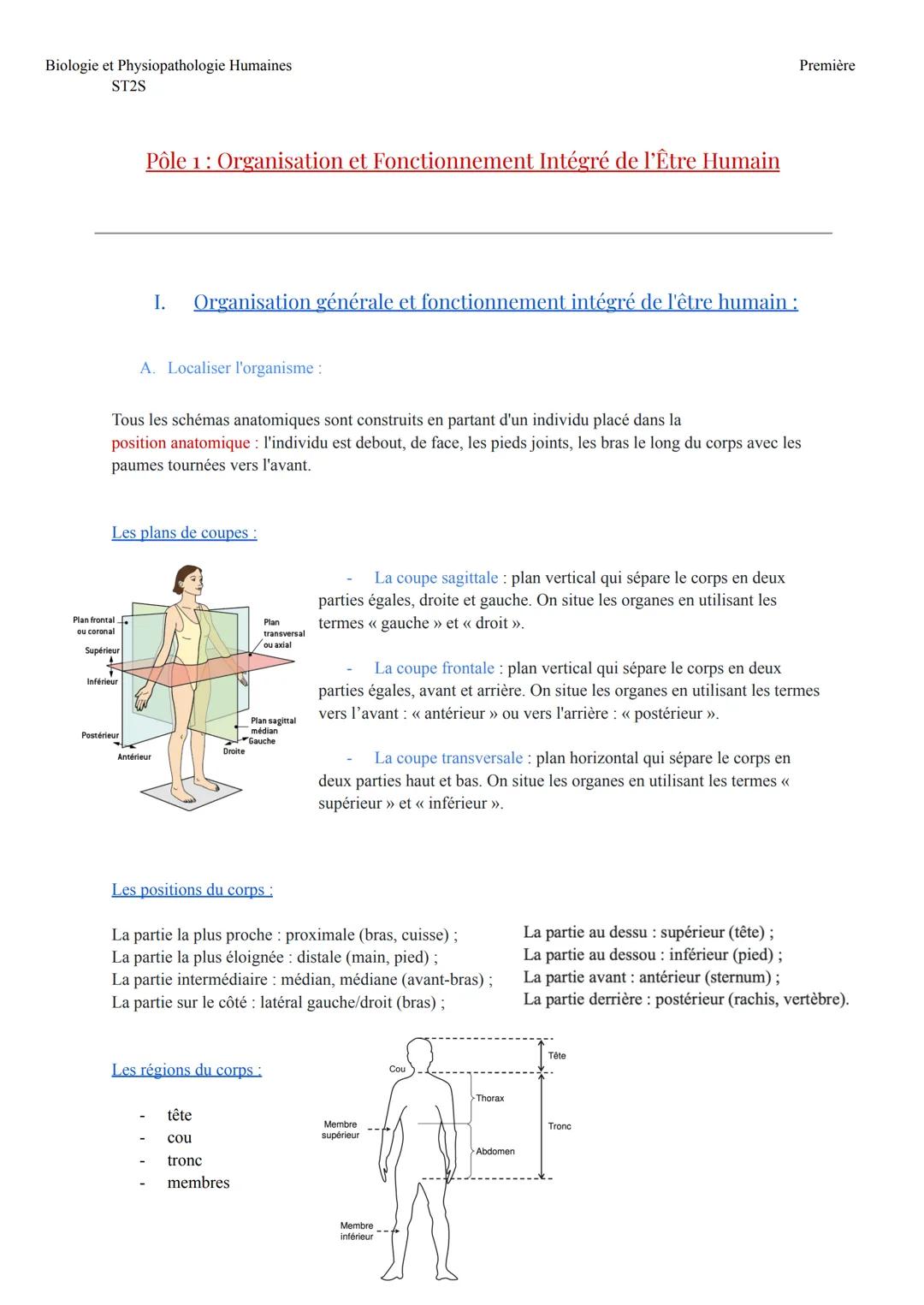 Biologie et Physiopathologie Humaines
ST2S
Pôle 1: Organisation et Fonctionnement Intégré de l'Être Humain
I. Organisation générale et fonct