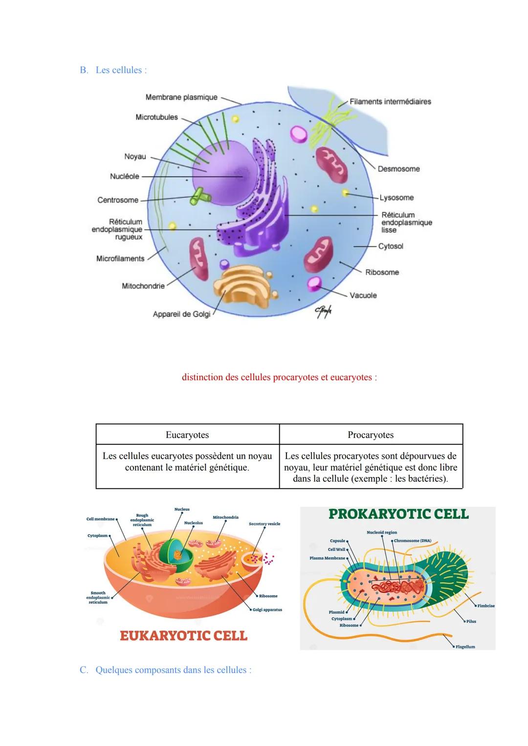 Biologie et Physiopathologie Humaines
ST2S
Pôle 1: Organisation et Fonctionnement Intégré de l'Être Humain
I. Organisation générale et fonct