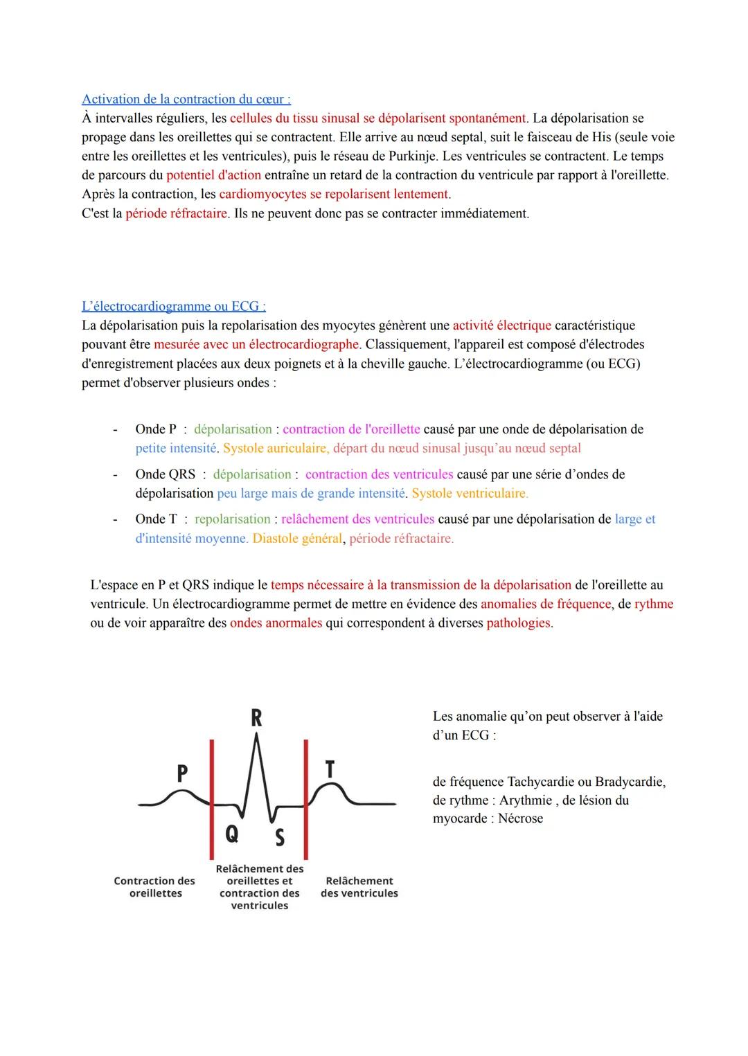 Biologie et Physiopathologie Humaines
ST2S
Pôle 4: Appareil Cardio-vasculaire et Circulation Sanguine
I. Anatomie et physiologie cardiaque :