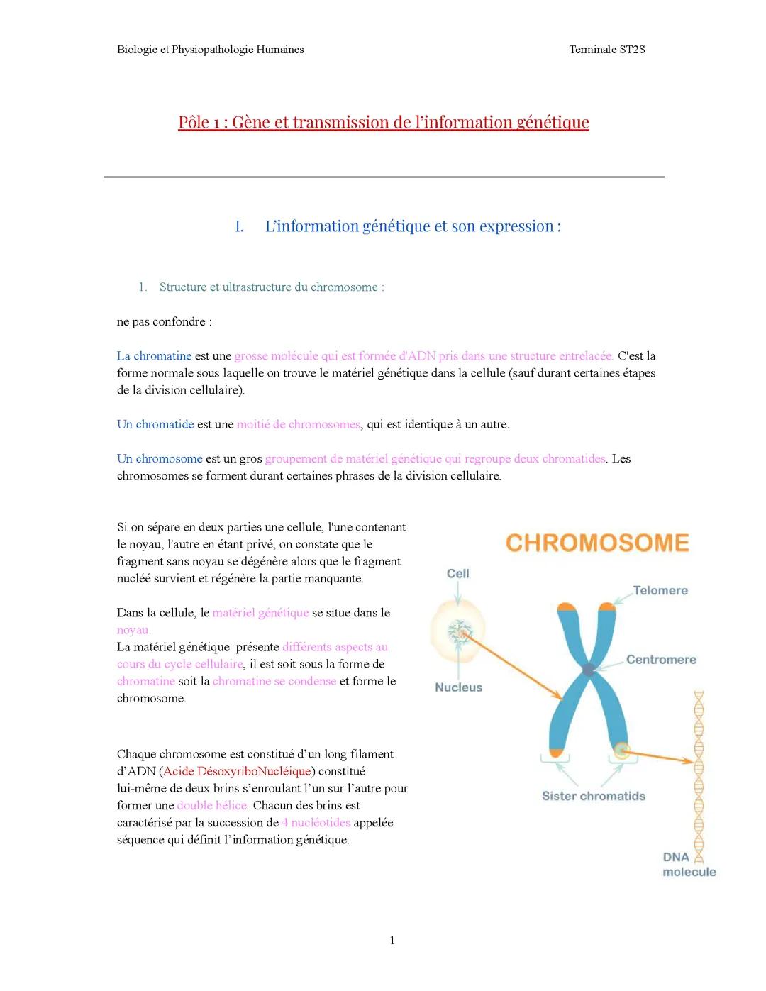 TST2S - BPH - Pôle 1 Gène et transmission de l’information genentique