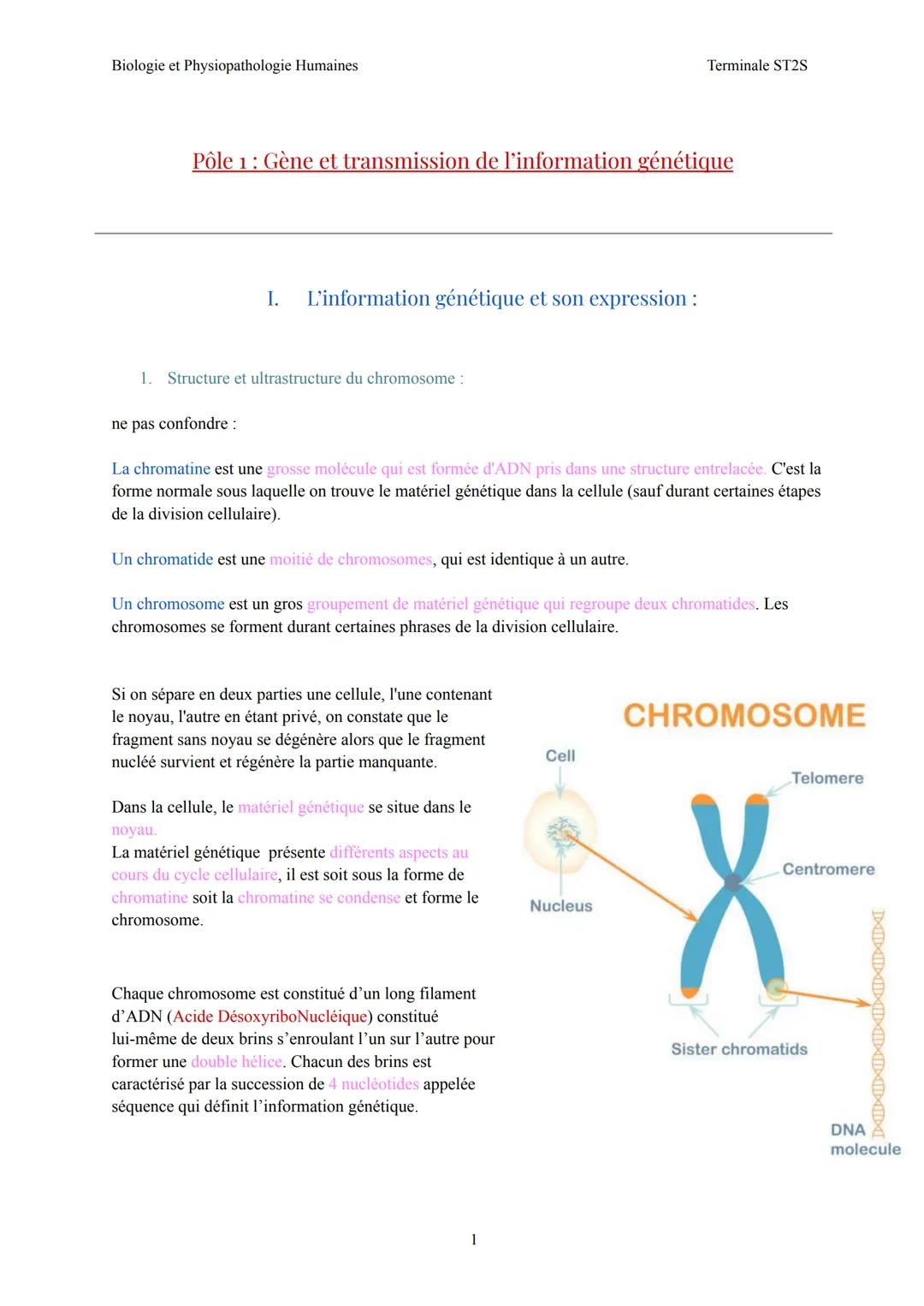 Biologie et Physiopathologie Humaines
Terminale ST2S
Pôle 1: Gène et transmission de l'information génétique
I. L'information génétique et s
