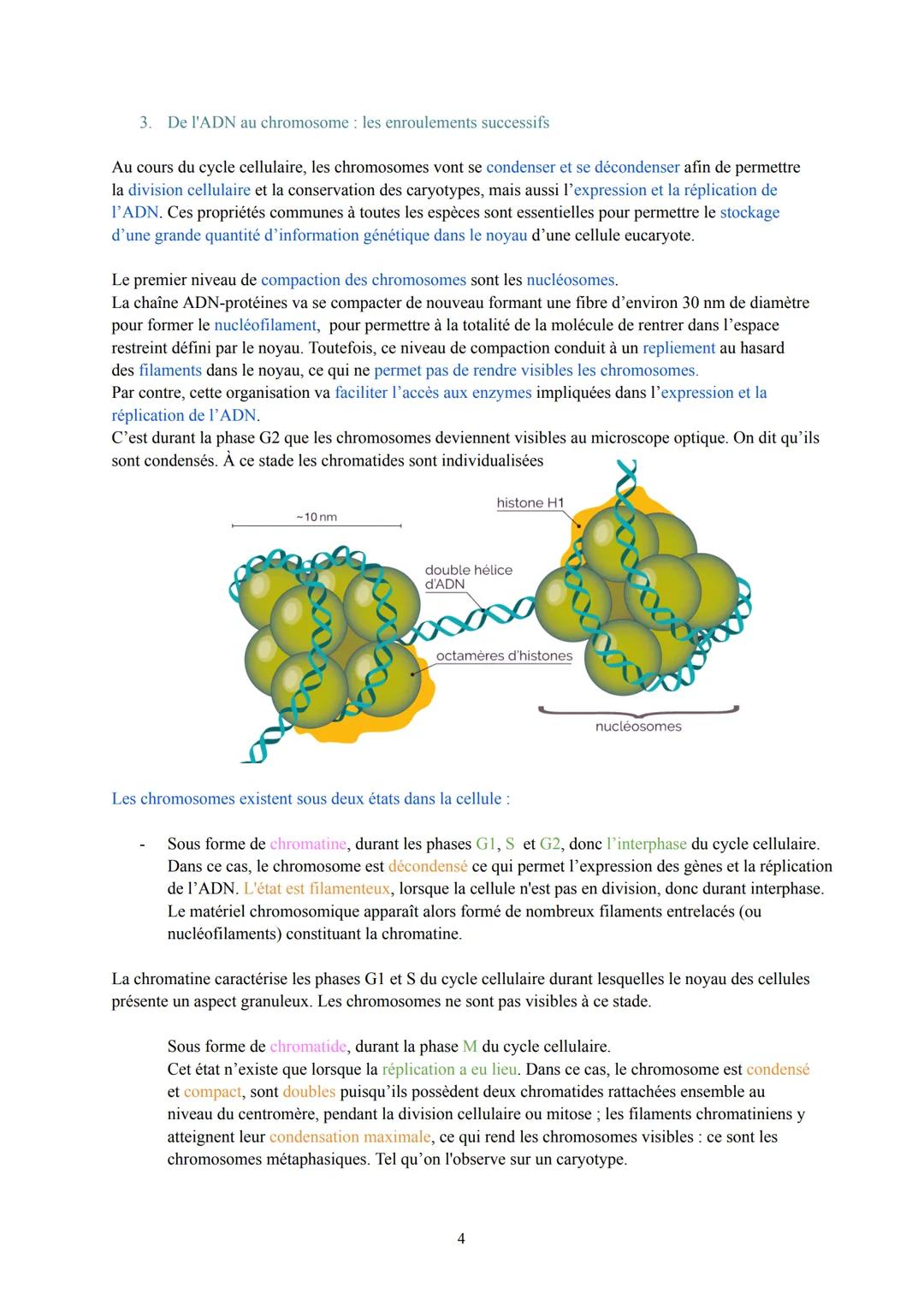 Biologie et Physiopathologie Humaines
Terminale ST2S
Pôle 1: Gène et transmission de l'information génétique
I. L'information génétique et s