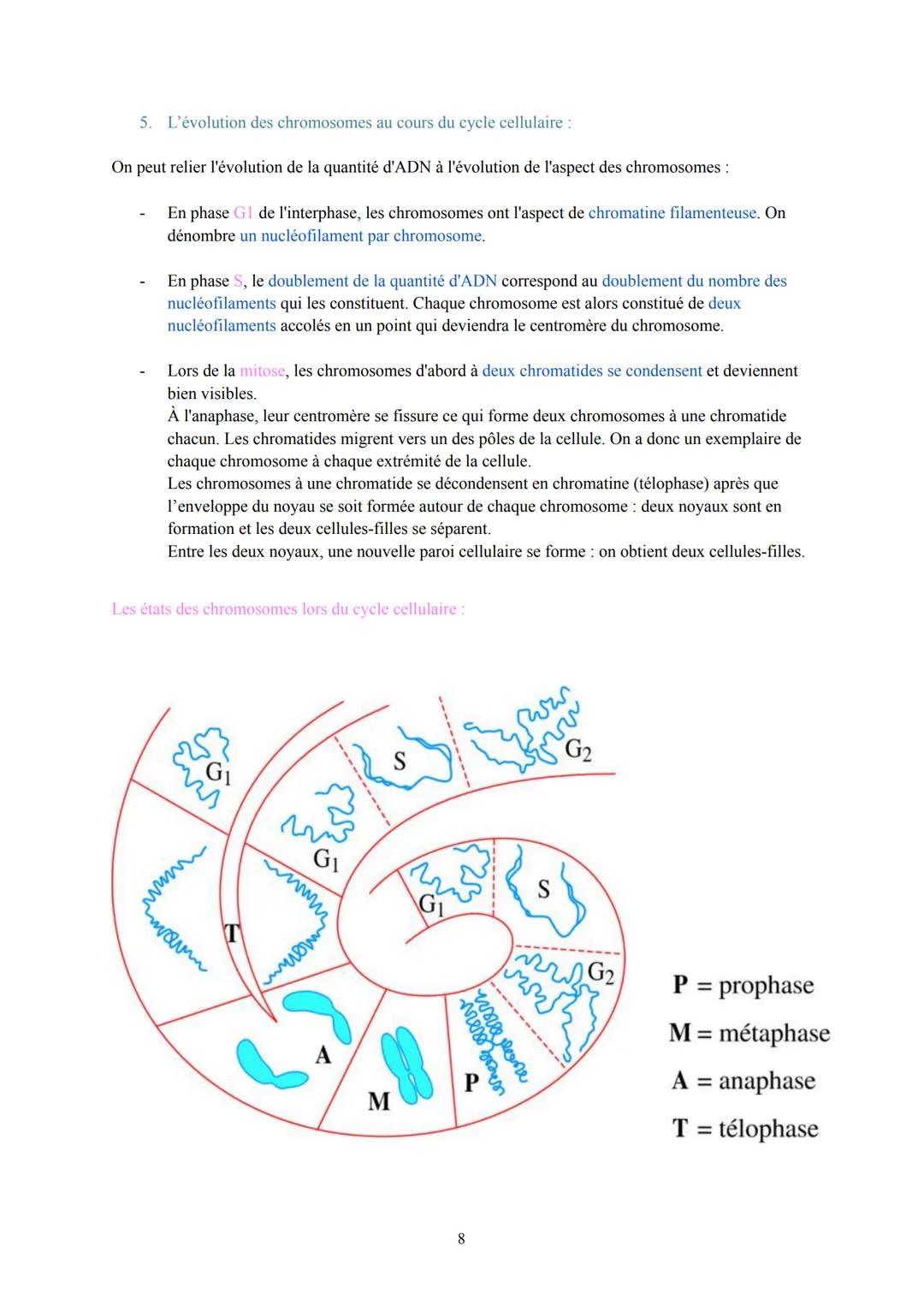 Biologie et Physiopathologie Humaines
Terminale ST2S
Pôle 1: Gène et transmission de l'information génétique
I. L'information génétique et s