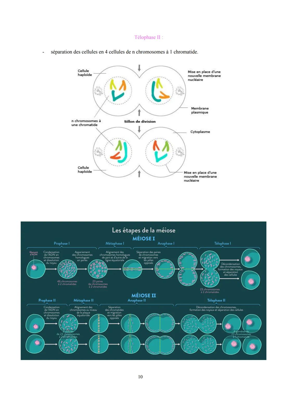 # Pôle 2: Appareils reproducteurs et transmission de la vie
## I. Anatomie des appareils reproducteurs :
1. L'appareil reproducteur fémin