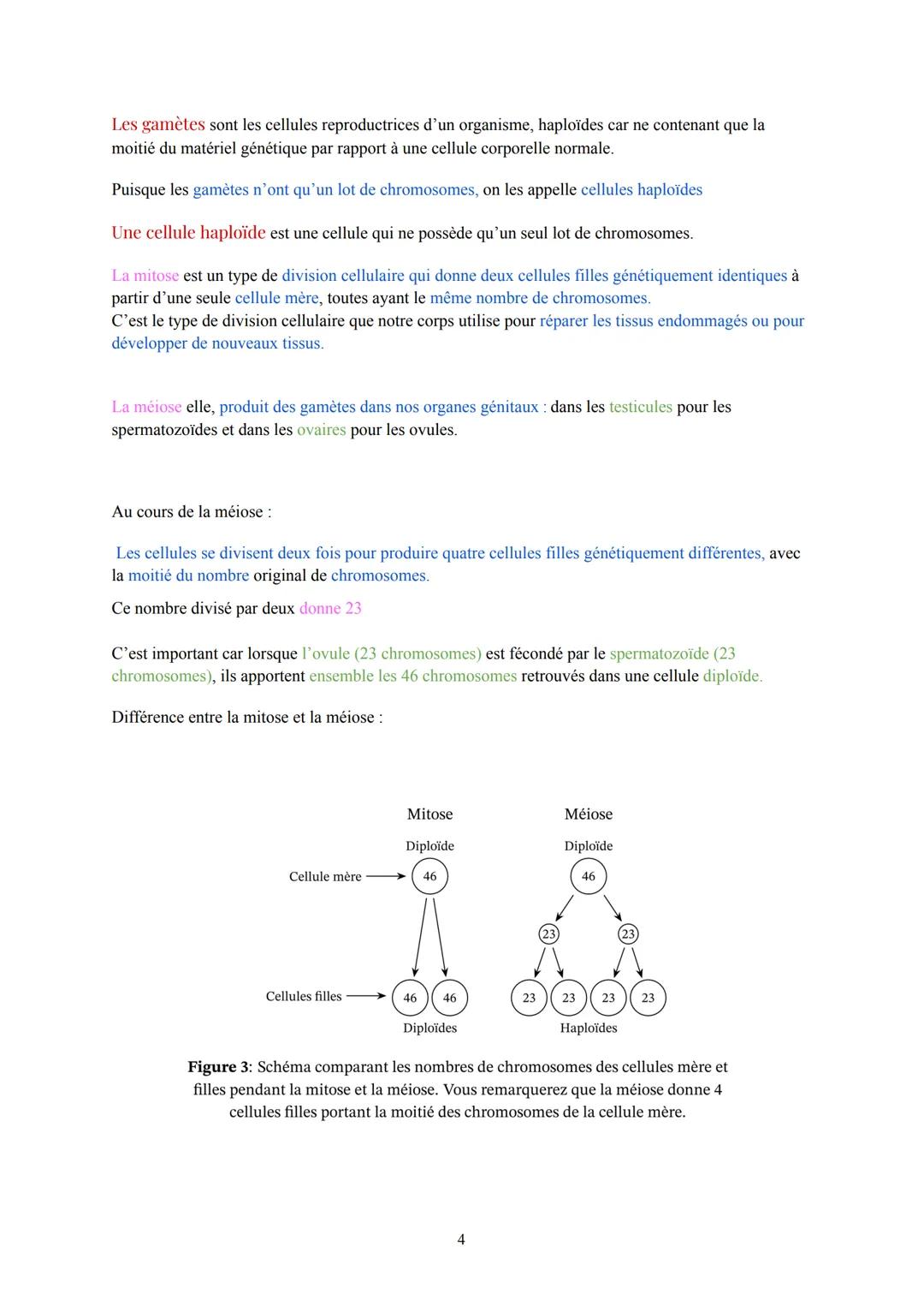 # Pôle 2: Appareils reproducteurs et transmission de la vie
## I. Anatomie des appareils reproducteurs :
1. L'appareil reproducteur fémin