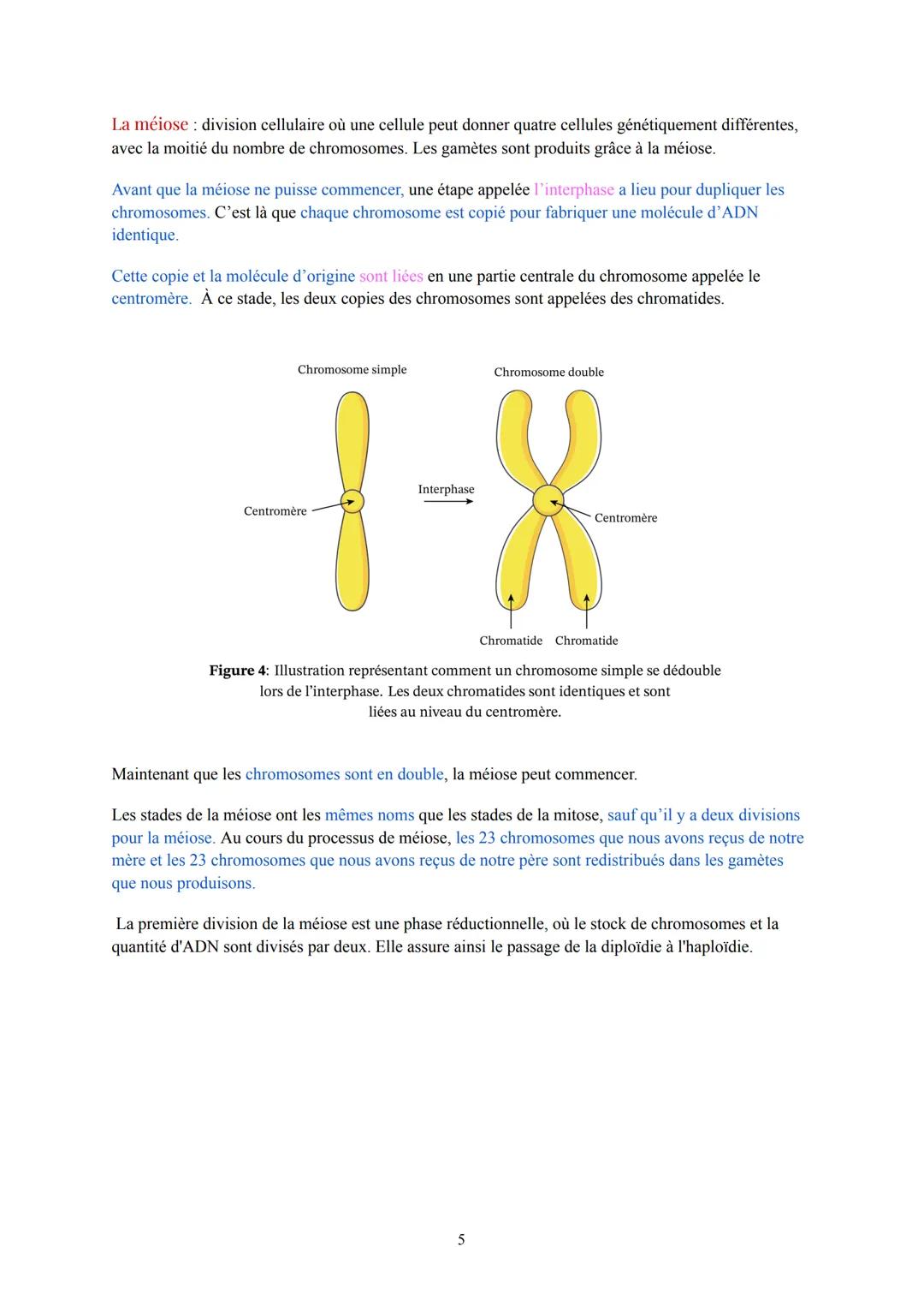 # Pôle 2: Appareils reproducteurs et transmission de la vie
## I. Anatomie des appareils reproducteurs :
1. L'appareil reproducteur fémin
