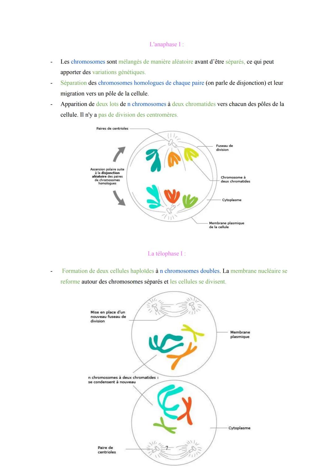 # Pôle 2: Appareils reproducteurs et transmission de la vie
## I. Anatomie des appareils reproducteurs :
1. L'appareil reproducteur fémin