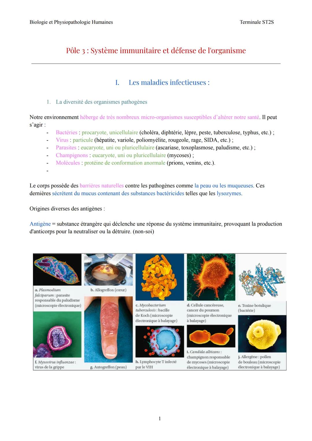 Biologie et Physiopathologie Humaines
Terminale ST2S
Pôle 3: Système immunitaire et défense de l'organisme
I. Les maladies infectieuses: