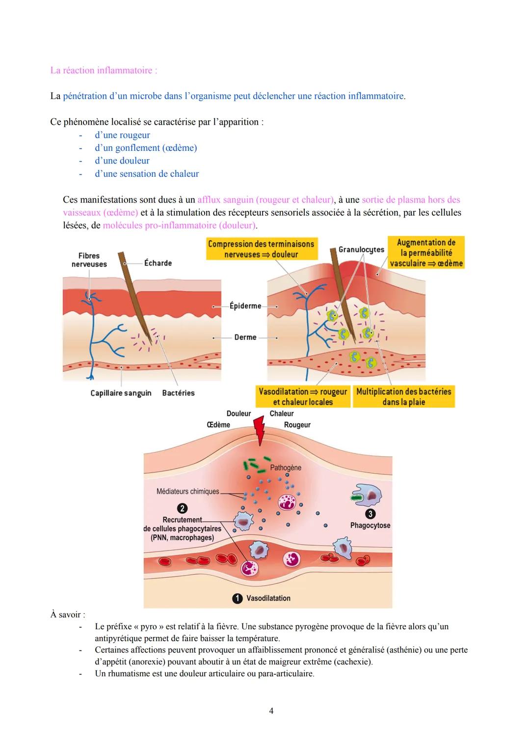Biologie et Physiopathologie Humaines
Terminale ST2S
Pôle 3: Système immunitaire et défense de l'organisme
I. Les maladies infectieuses: