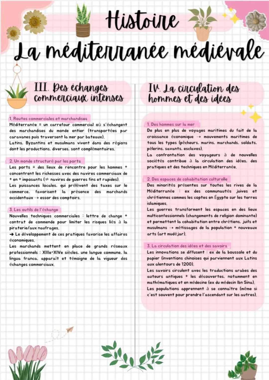 Histoire
La méditerranée médiévale
I. La diversite des
societes méditerranéennes
II. Violences et affrontements
1. Des sociétés aux nombreux