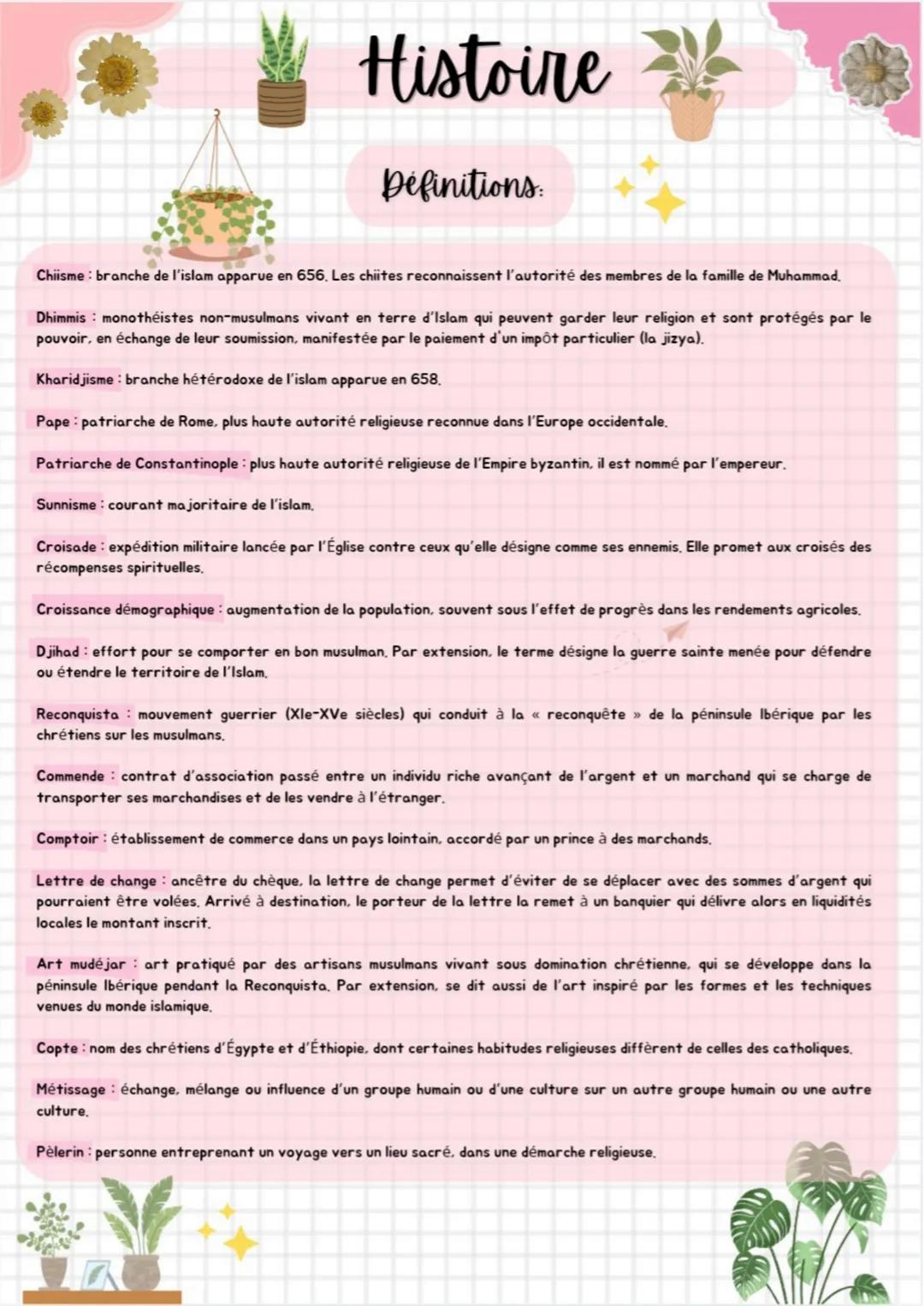 Histoire
La méditerranée médiévale
I. La diversite des
societes méditerranéennes
II. Violences et affrontements
1. Des sociétés aux nombreux