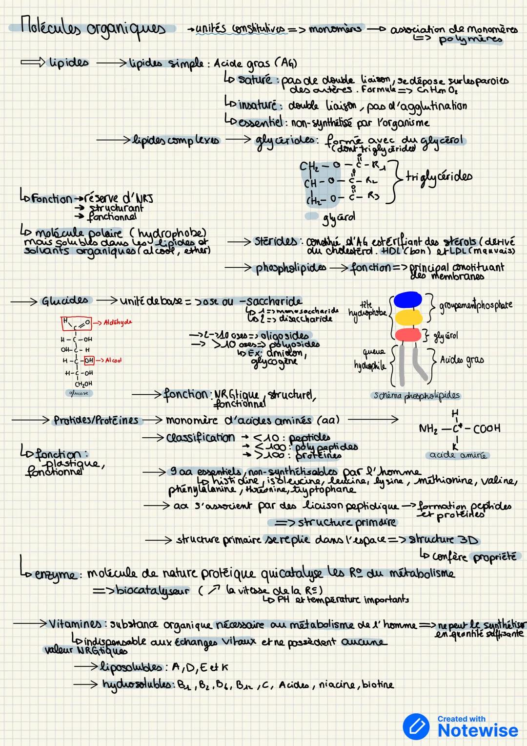 Biochimie: la constitution de la matière
vivante
1. Quelques notion de base de chimie
constitution => no yeau (protons + neutrons>
Atomes =>