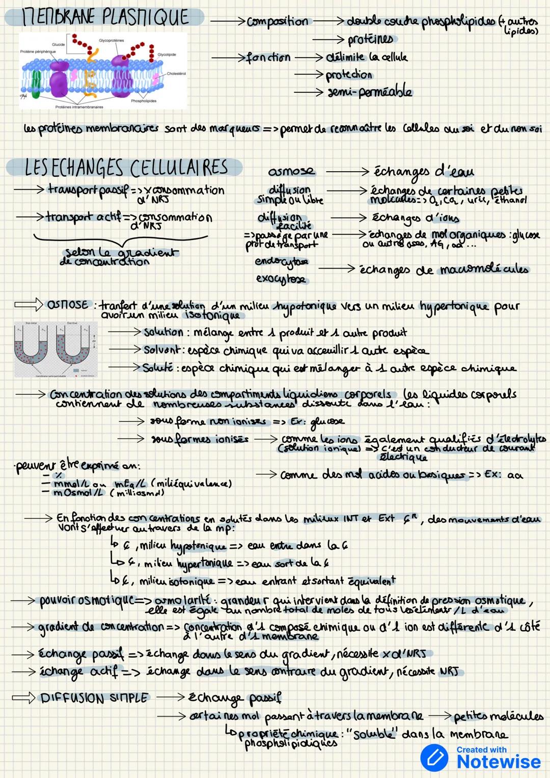 mitocondrie
> taille: 10-100m
La cellule
→ nombre de types de Cellule: 250
LDEX: Hepatocytes, SPZ, Hematics, neurons...
appareil de
golgi
RE