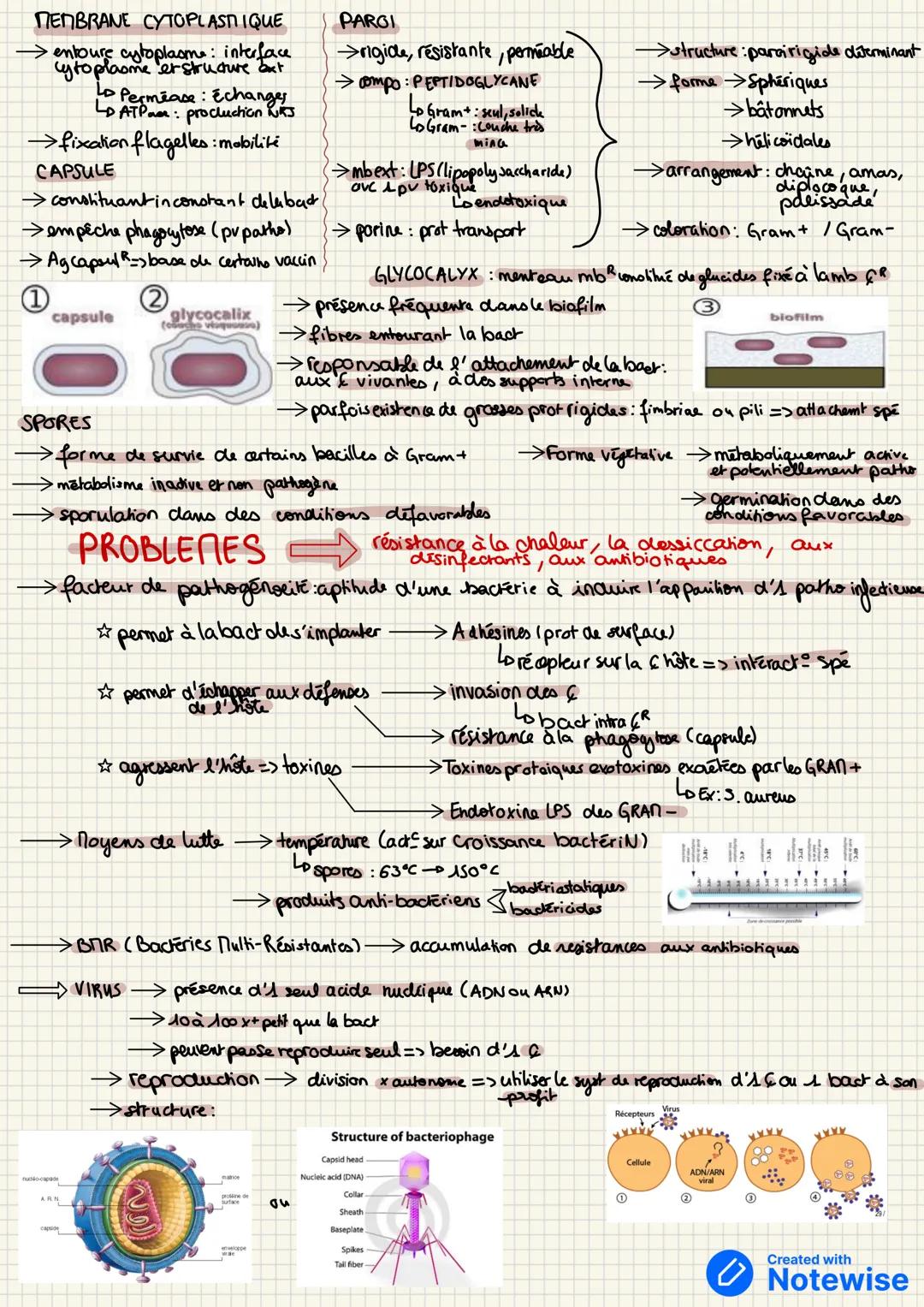 la chaîne épidémiologique
→ enchaînement desprocessus de développement et de transmission d'une maladic infecieuse
> processus dynamique d'i