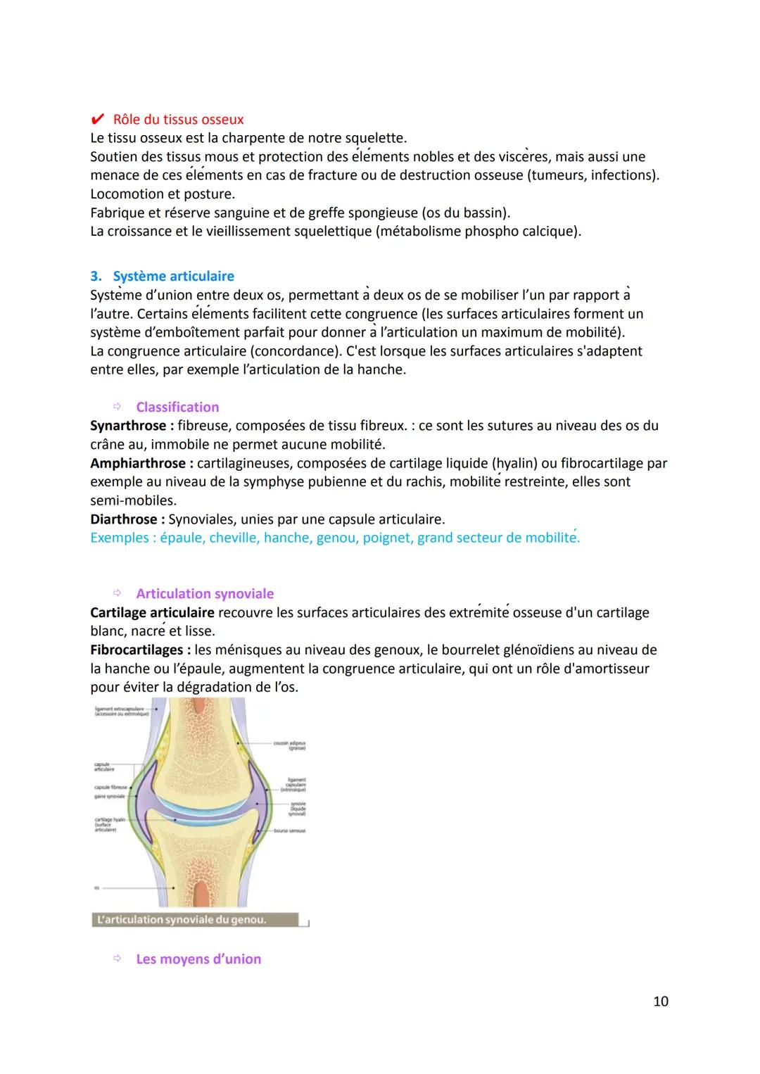 1. Définition
Physiologie de l'appareil locomoteur
Physiologie: La science qui étudie le fonctionnement et les propriétés d'une organe ou d'