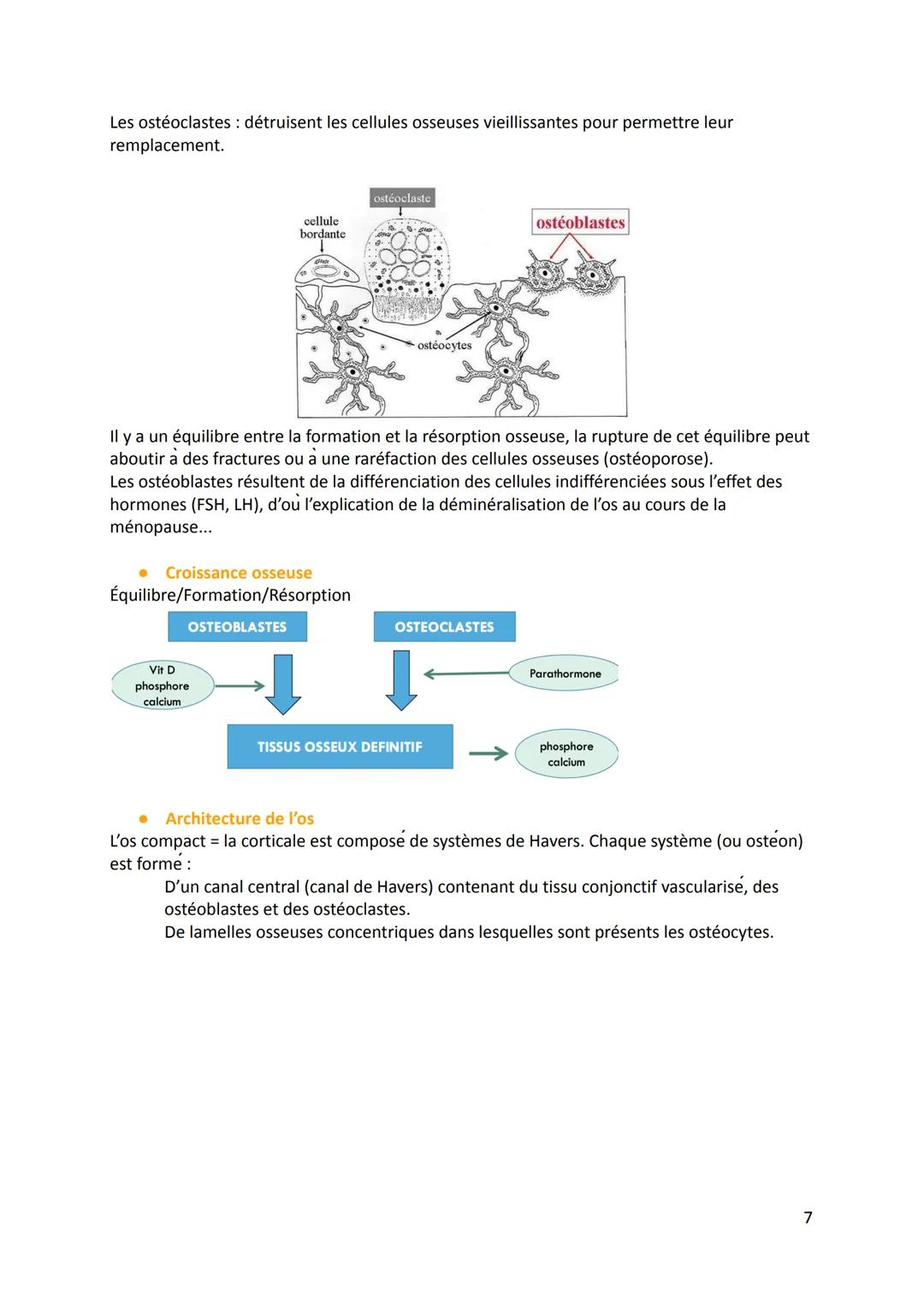 1. Définition
Physiologie de l'appareil locomoteur
Physiologie: La science qui étudie le fonctionnement et les propriétés d'une organe ou d'