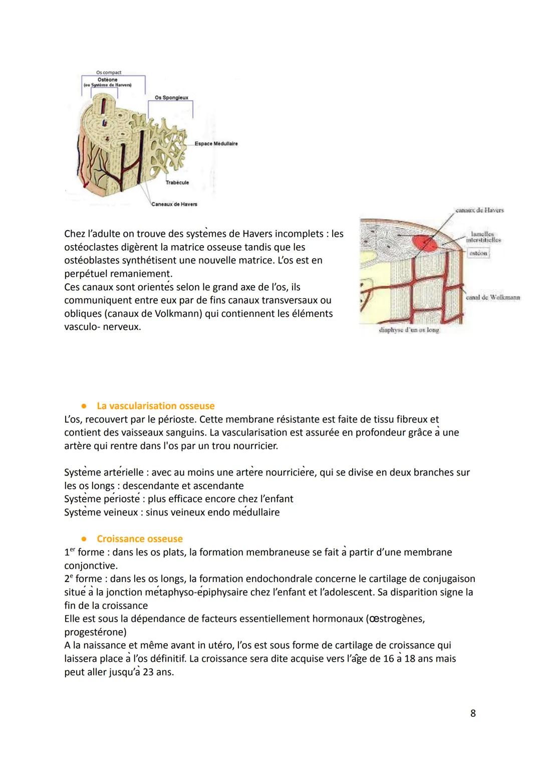 1. Définition
Physiologie de l'appareil locomoteur
Physiologie: La science qui étudie le fonctionnement et les propriétés d'une organe ou d'