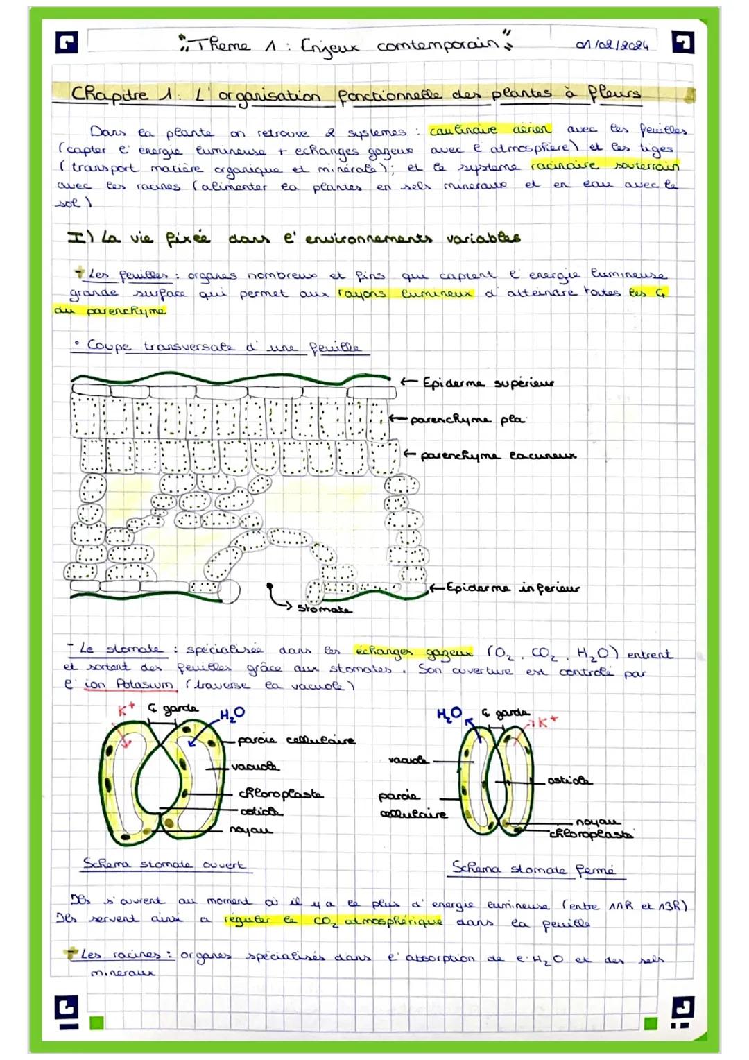"Theme 1:
Enjeux comtemporain"
01/02/2024
Chapdre 1.1 organisation fonctionnelle des plantes à fleurs
aerien avec
Ces feuilles.
Dans la plan