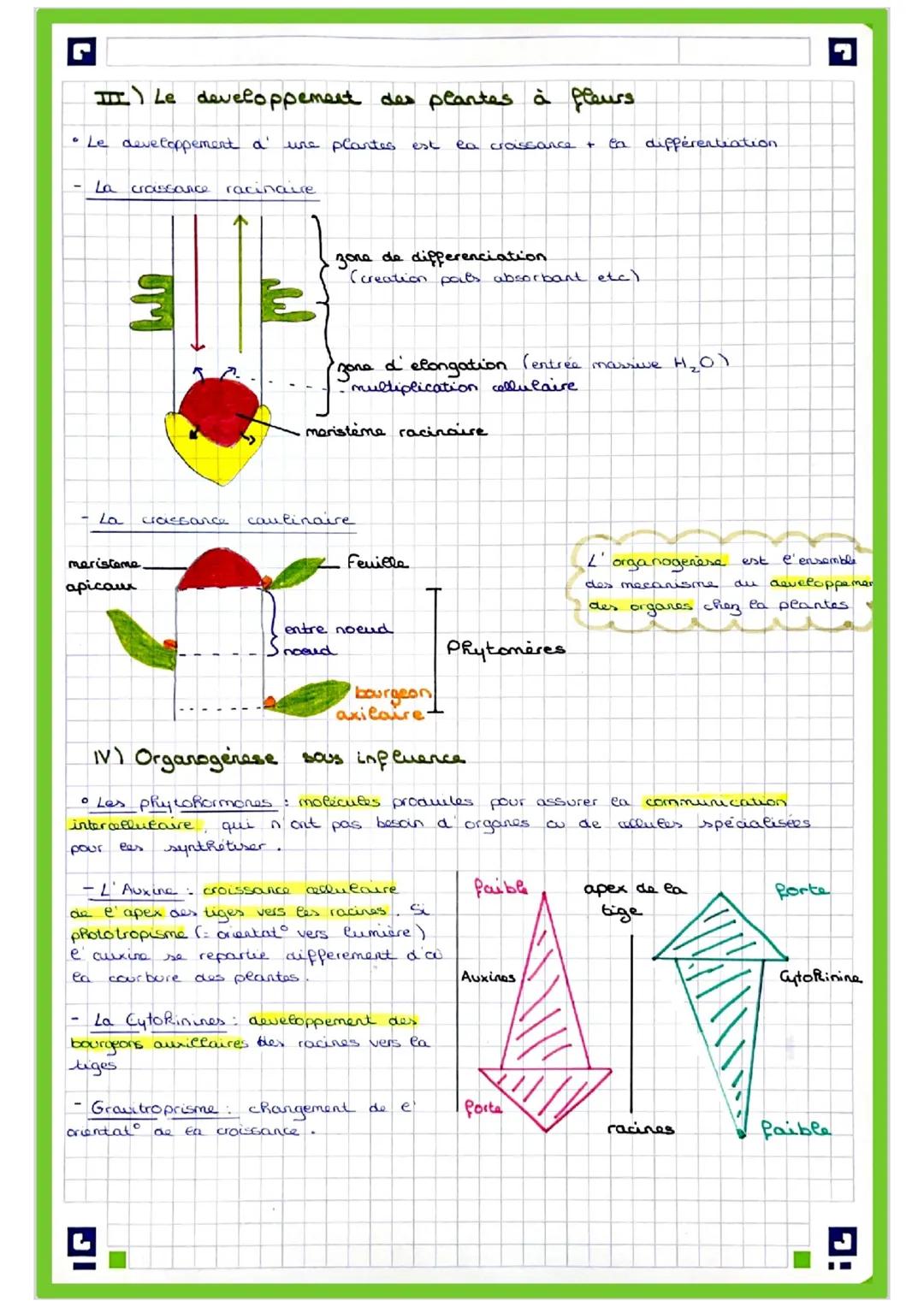 "Theme 1:
Enjeux comtemporain"
01/02/2024
Chapdre 1.1 organisation fonctionnelle des plantes à fleurs
aerien avec
Ces feuilles.
Dans la plan
