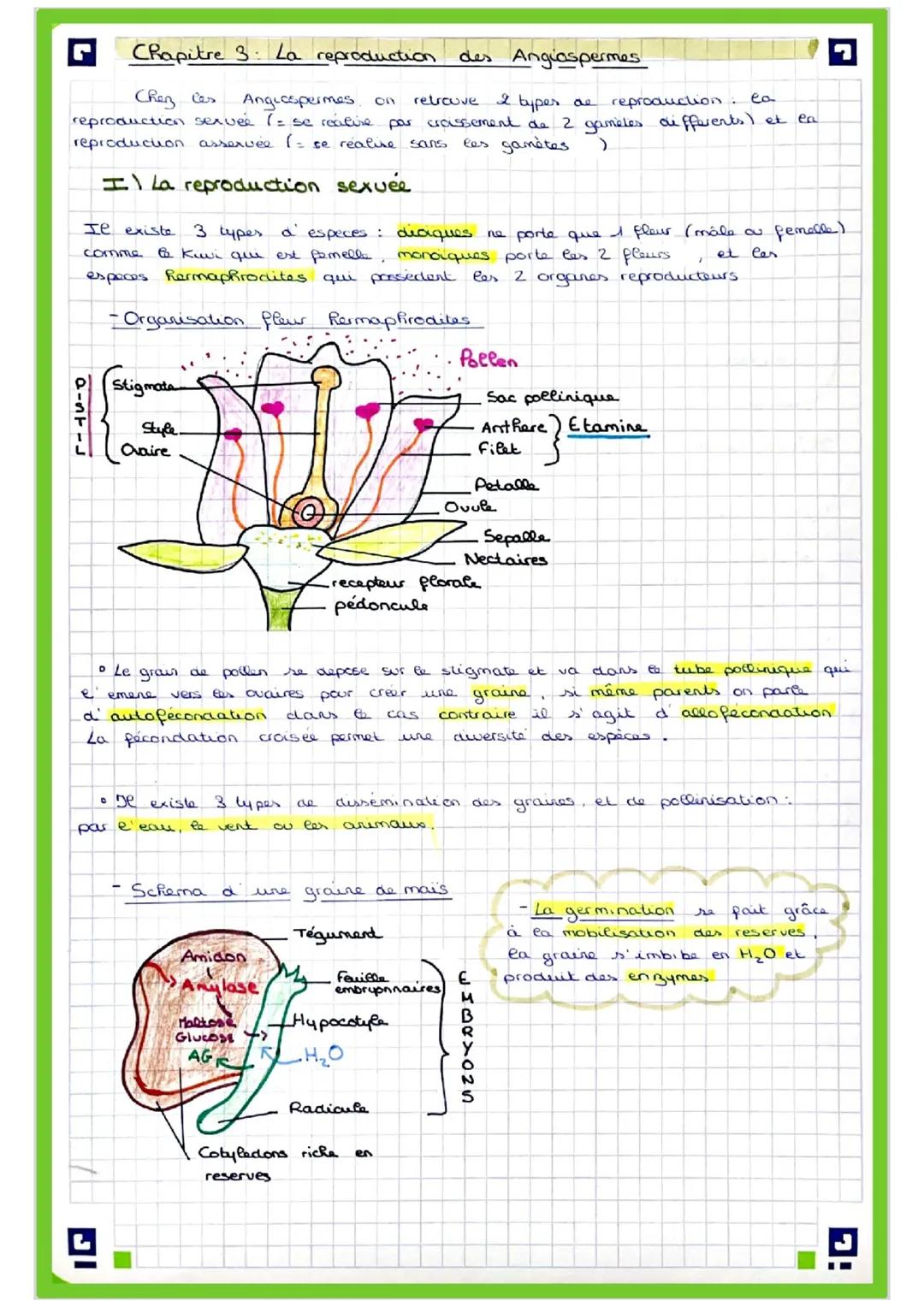 # Chapitre 3: La reproduction des Angiospermes
Chez Cas
ea
Angiospermes on retrouve 2 types de reproduction. ea
reproduction servee (= se